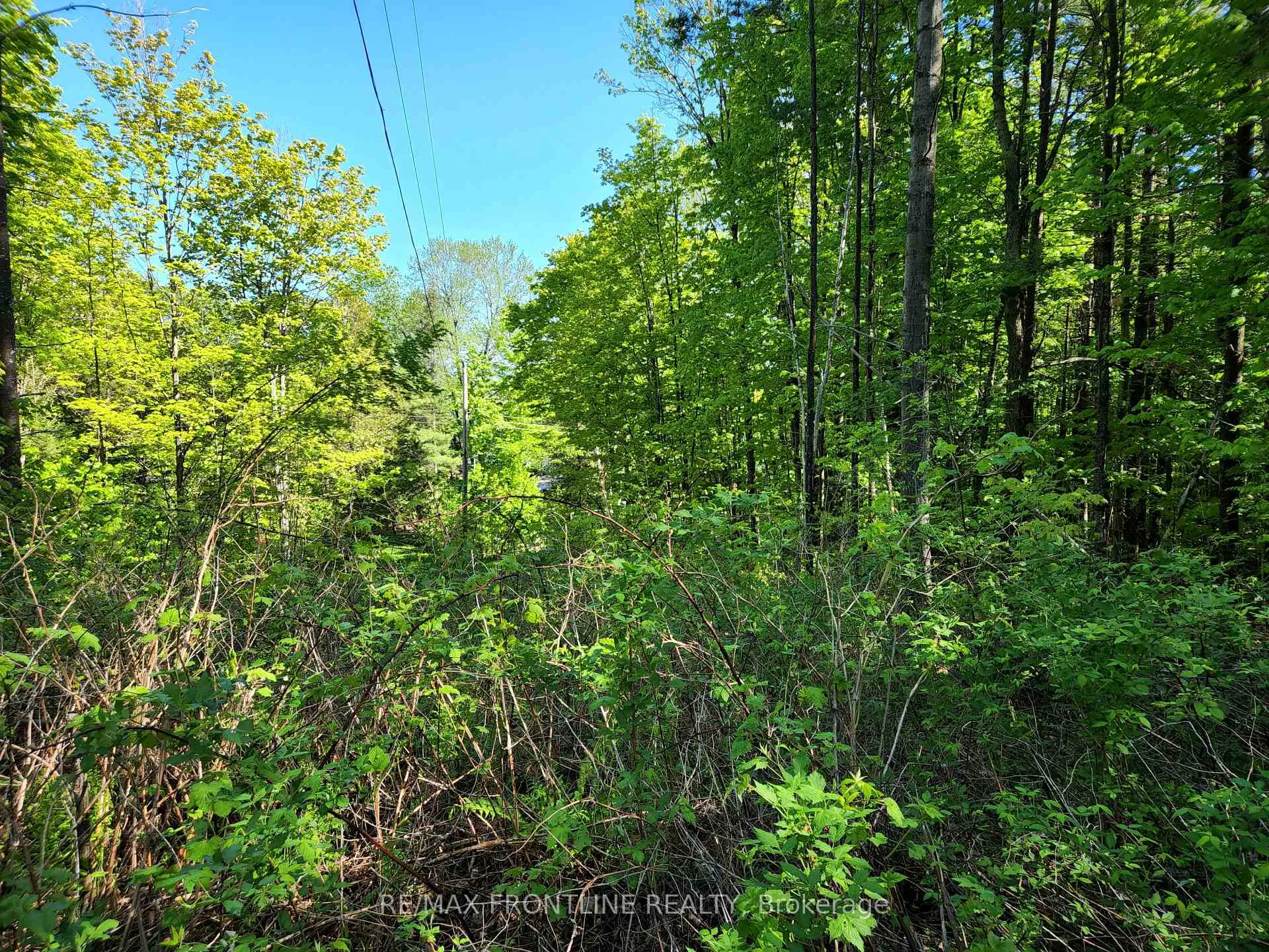 Photo 3 of 28578 Hwy 7, Frontenac, Frontenac Centre — HOMEH