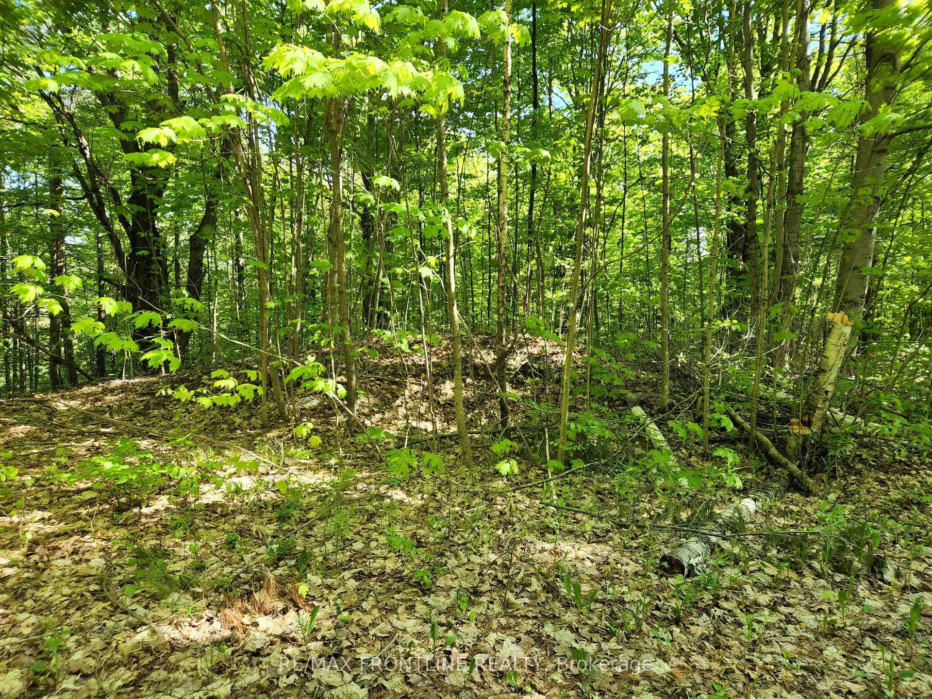 Photo 4 of 28578 Hwy 7, Frontenac, Frontenac Centre — HOMEH