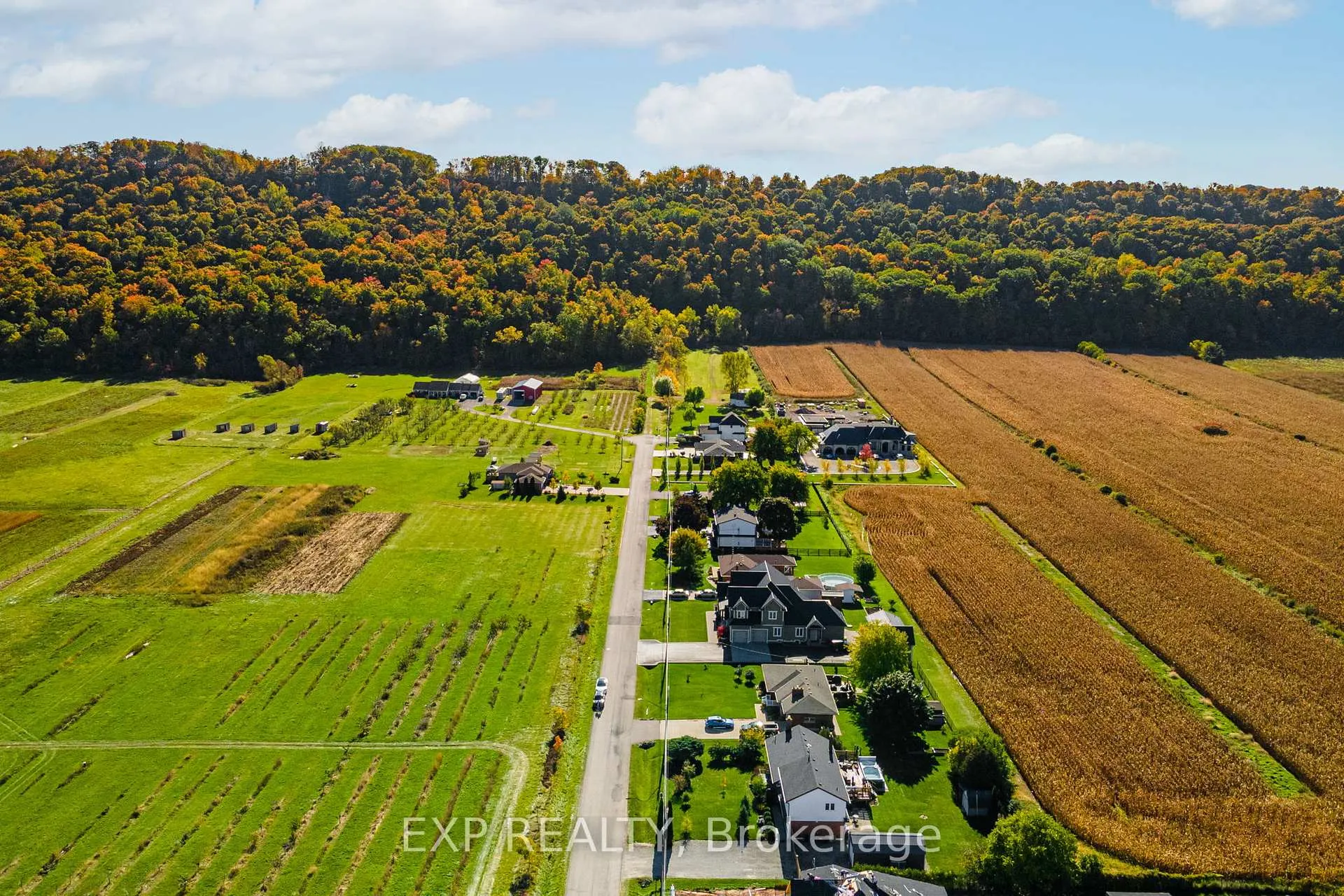 Photo 4 of 187 Lewis Road, Hamilton, Winona — HOMEH