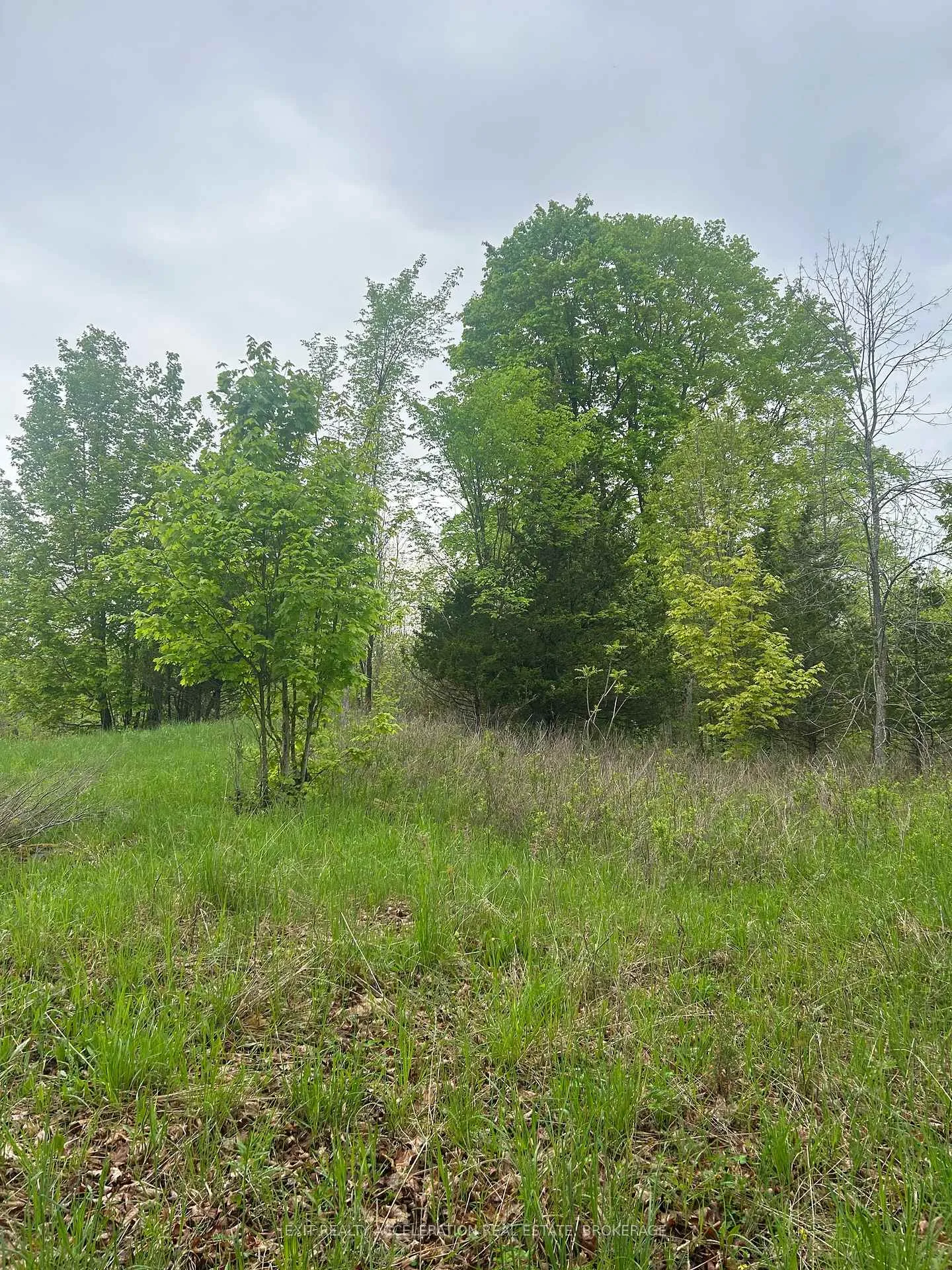 Photo 6 of Bradshaw Road, Frontenac, Frontenac South — HOMEH
