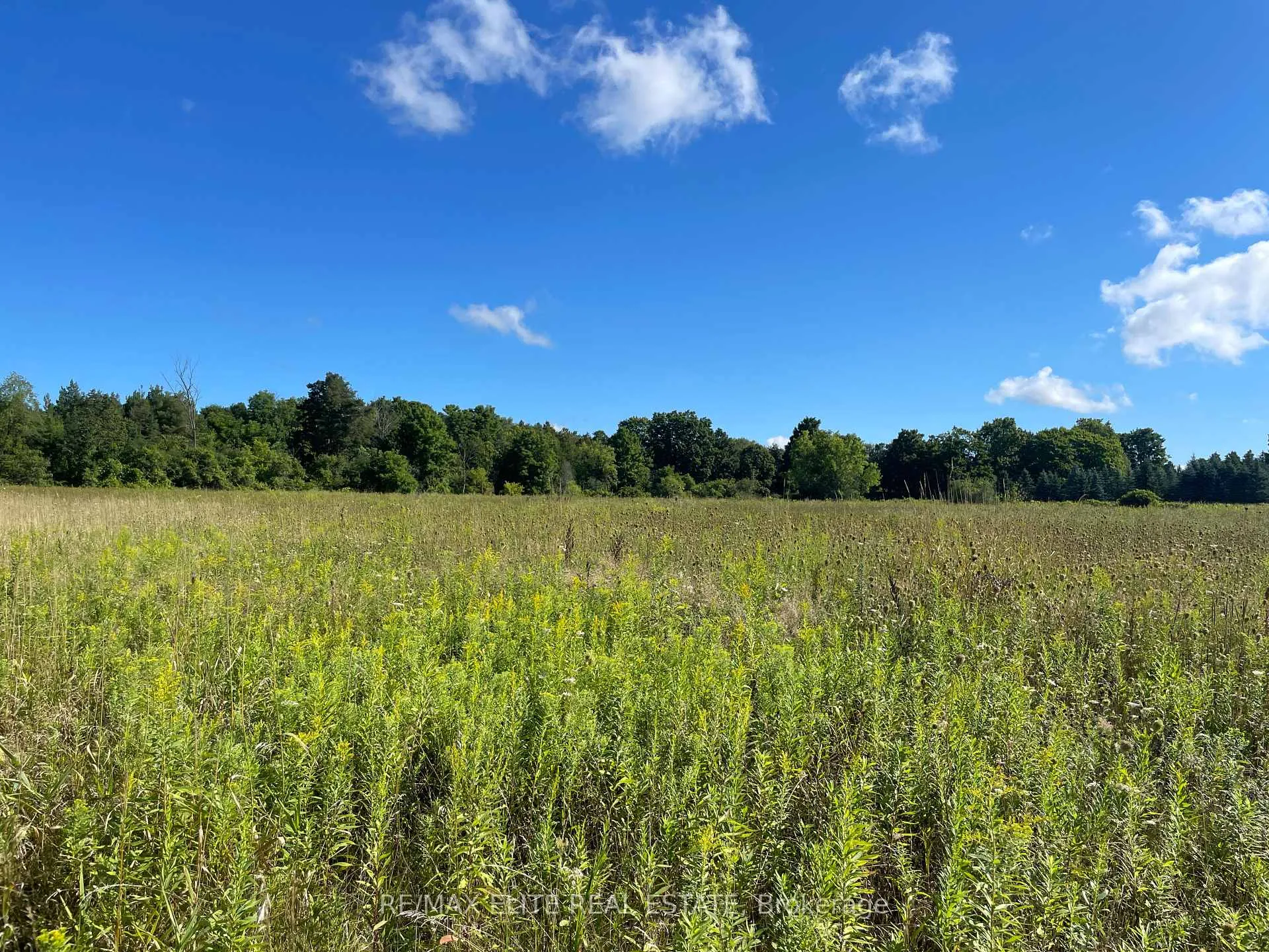 Photo 14 of 5020 19th Avenue, Markham, Rural Markham — HOMEH