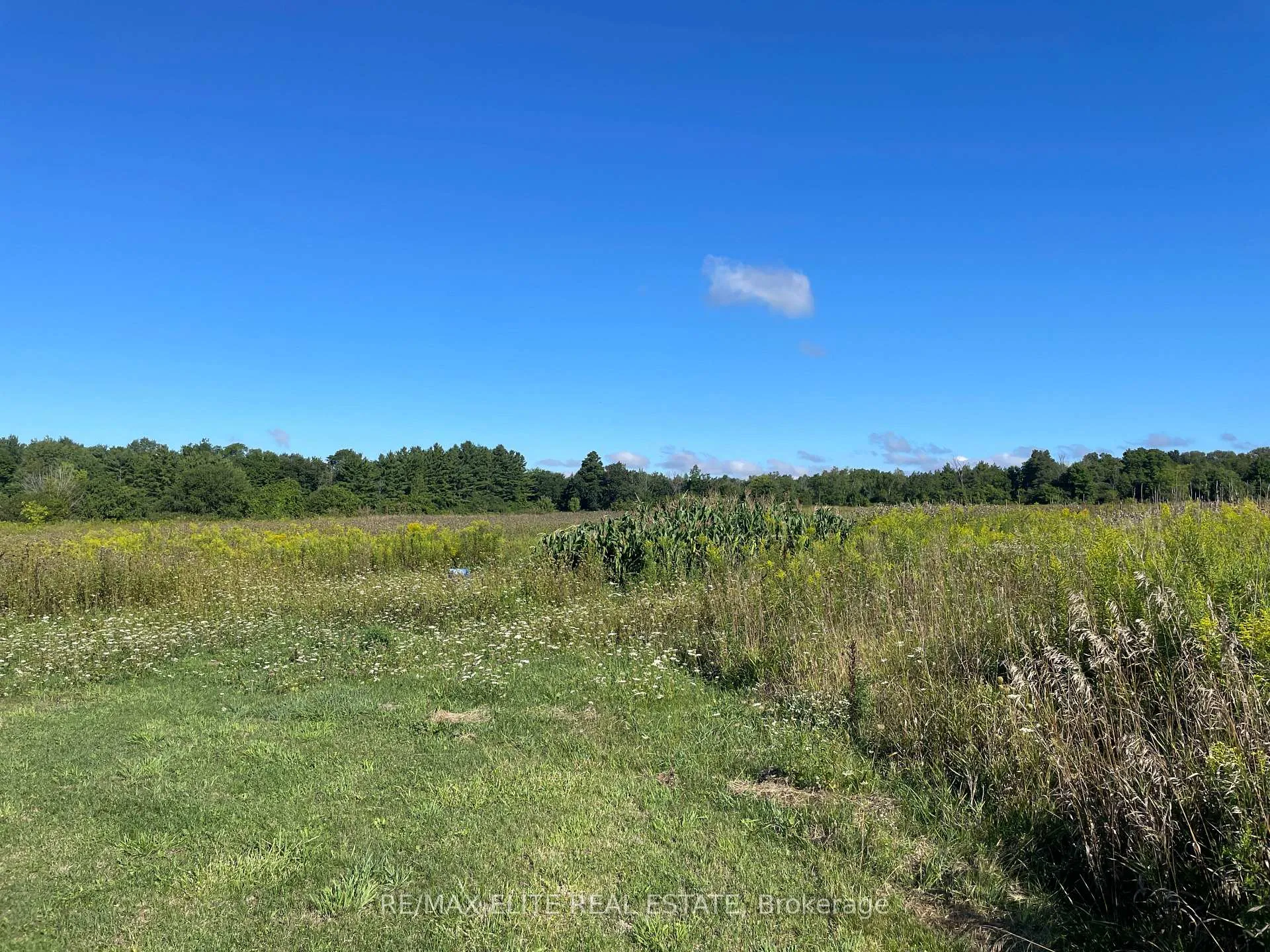 Photo 19 of 5020 19th Avenue, Markham, Rural Markham — HOMEH