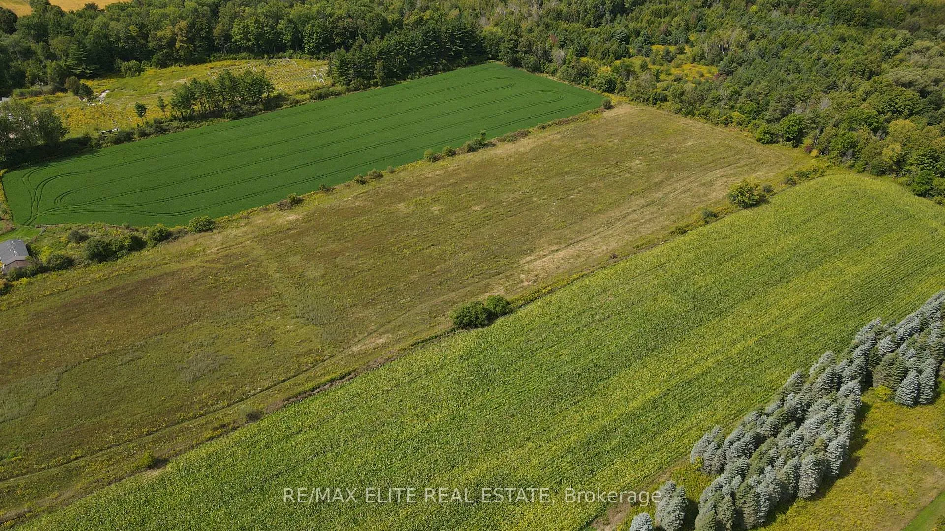 Photo 39 of 5020 19th Avenue, Markham, Rural Markham — HOMEH