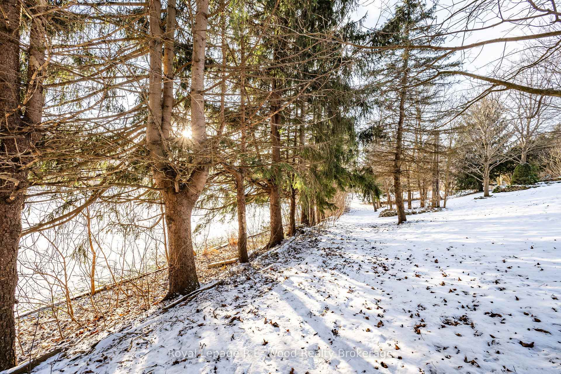 Photo 10 of 14 Woodland Road, Central Elgin, Lynhurst — HOMEH