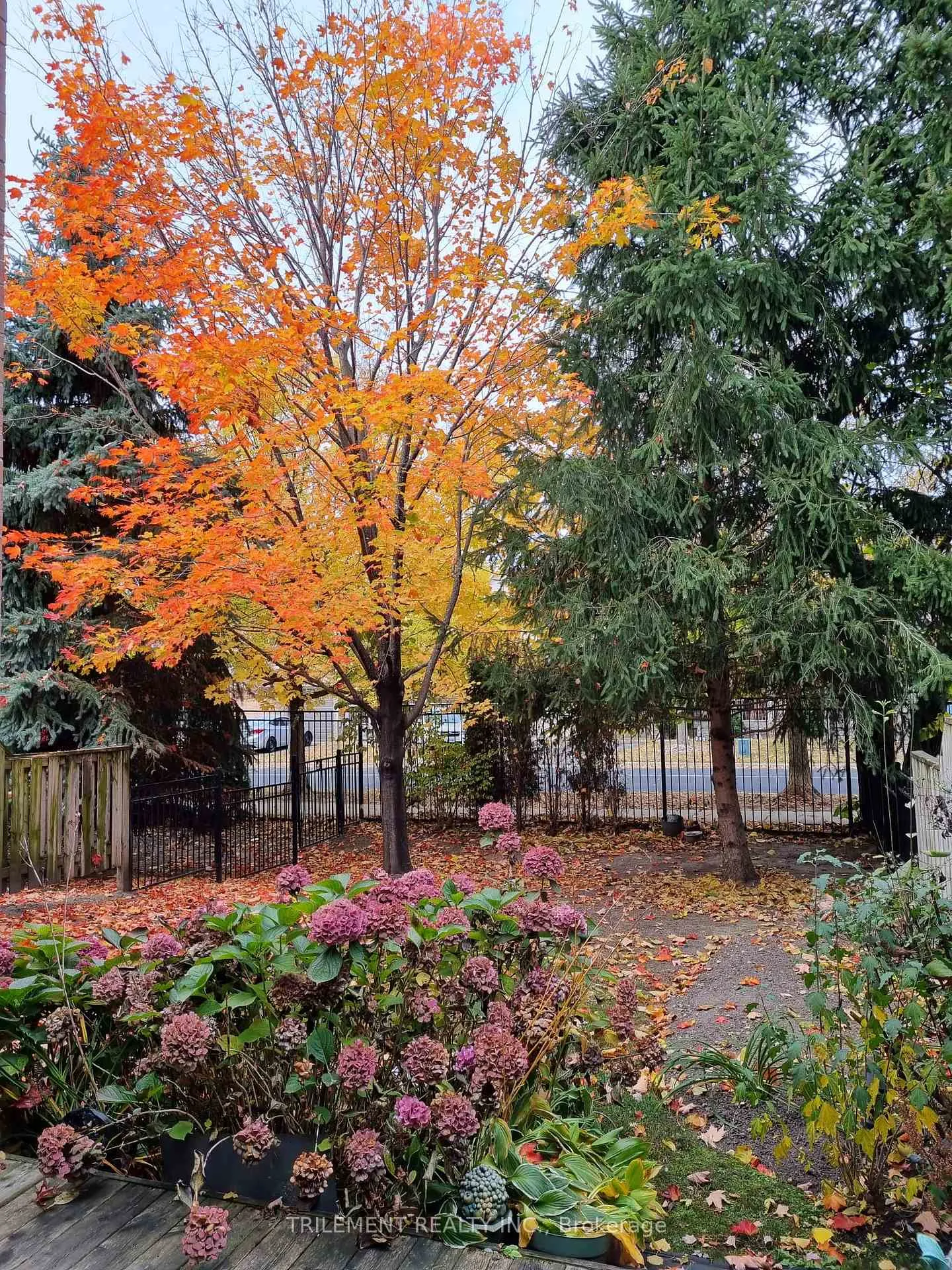 Photo 22 of 72 Louisbourg Way, Markham, Greensborough — HOMEH