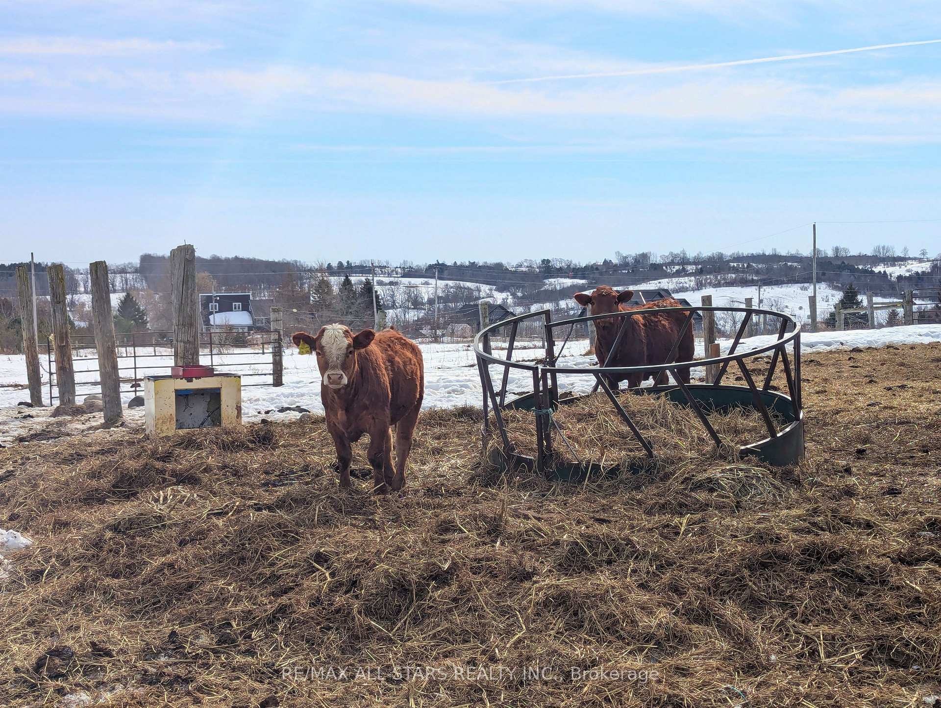 Photo 14 of 402 Thorne Drive, Cavan Monaghan, Cavan Twp — HOMEH