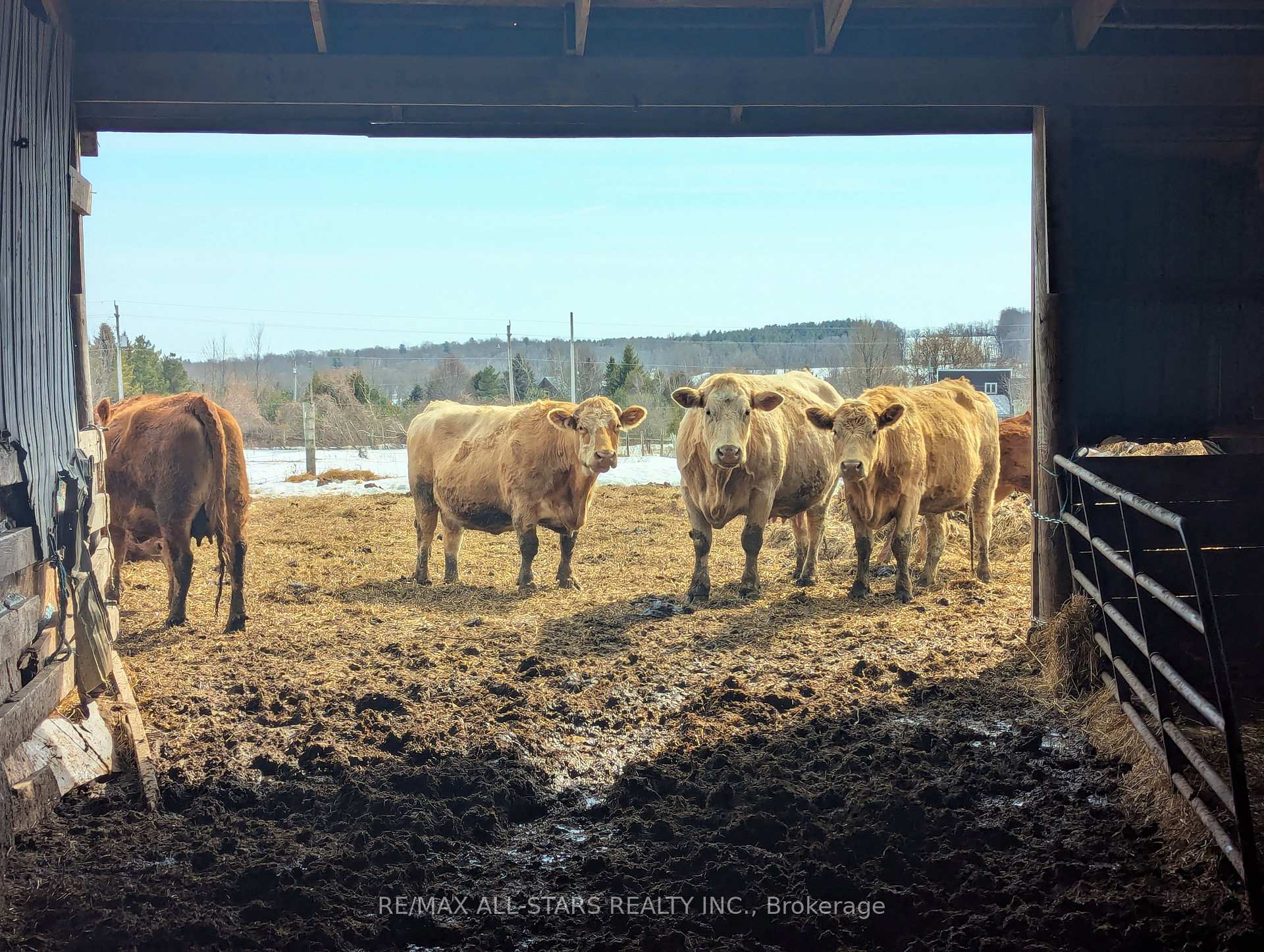 Photo 17 of 402 Thorne Drive, Cavan Monaghan, Cavan Twp — HOMEH
