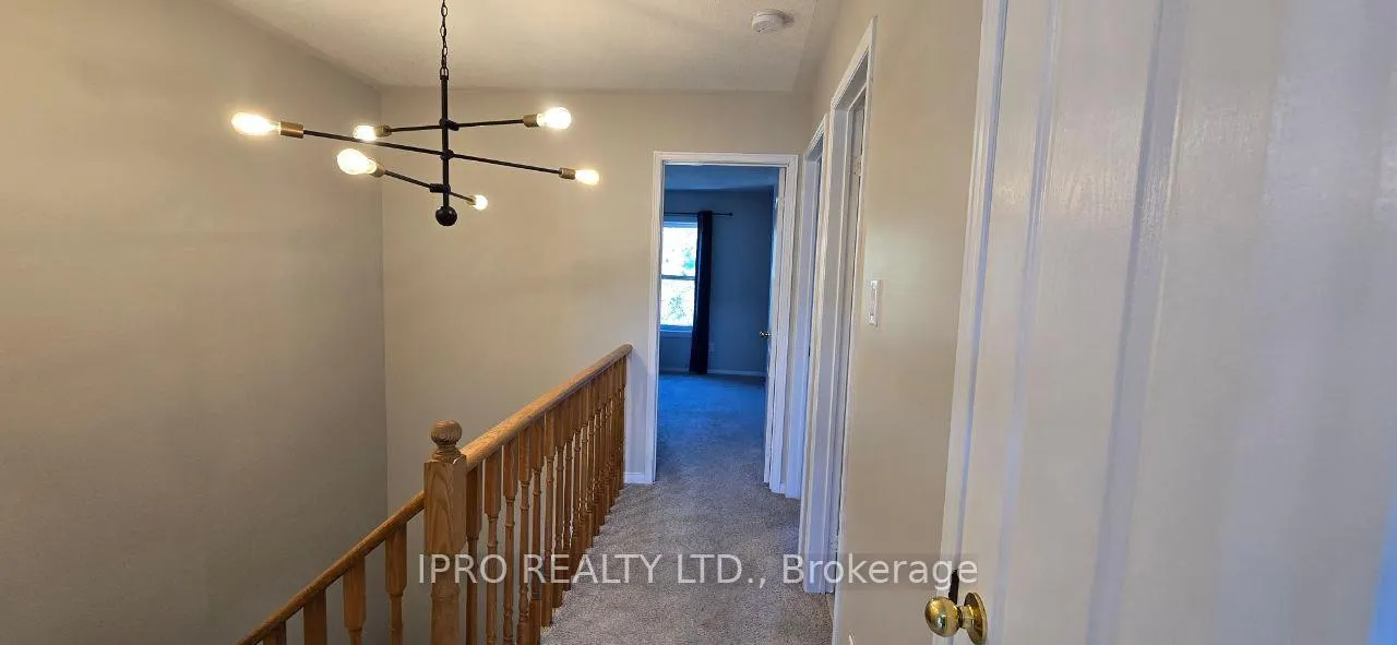 Photo 13 of 115 Mugford Road, Aurora, Bayview Wellington — HOMEH