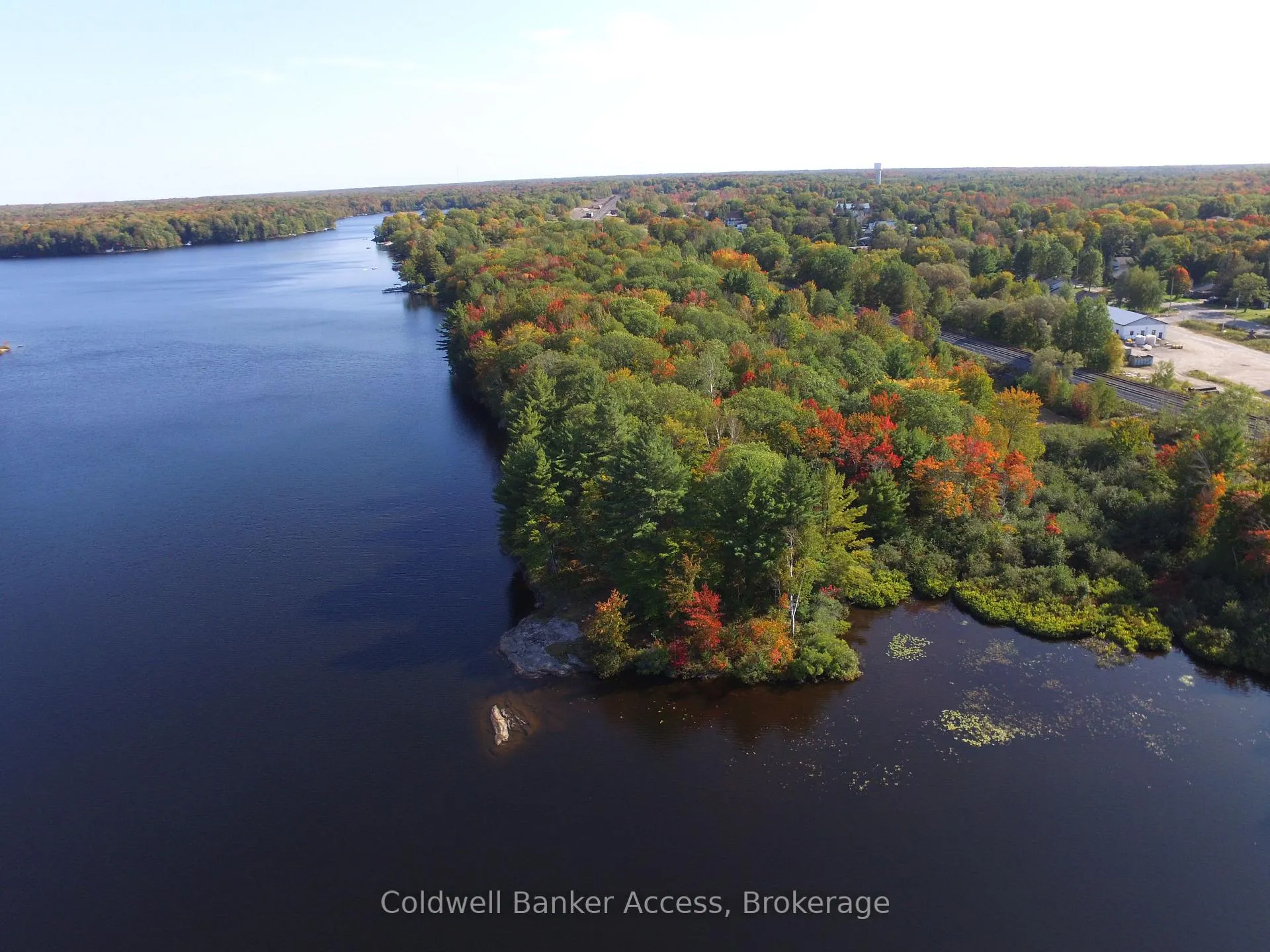Photo 8 of 38 Hawkins Point Road, Georgian Bay, Freeman — HOMEH
