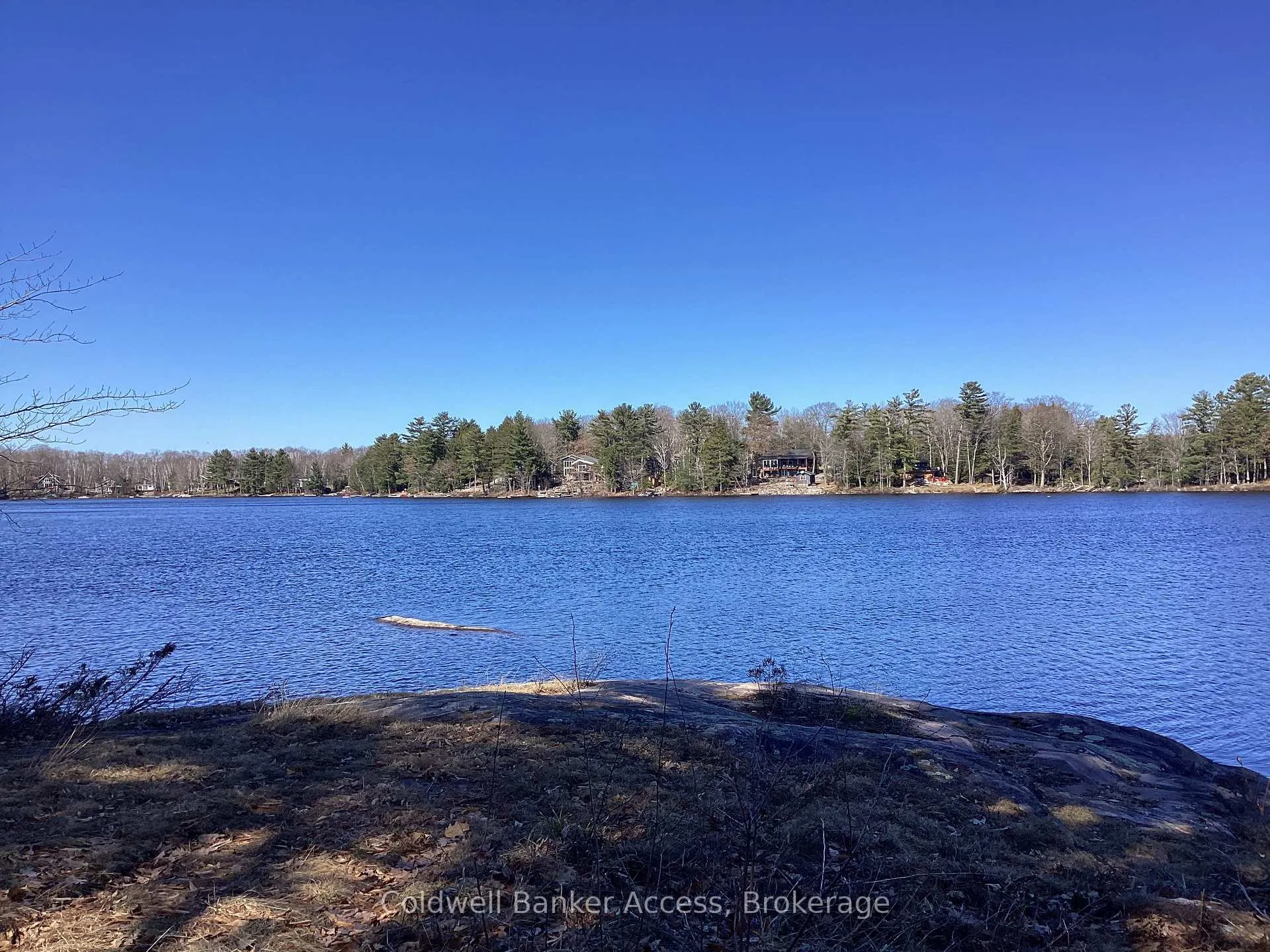 Photo 10 of 38 Hawkins Point Road, Georgian Bay, Freeman — HOMEH