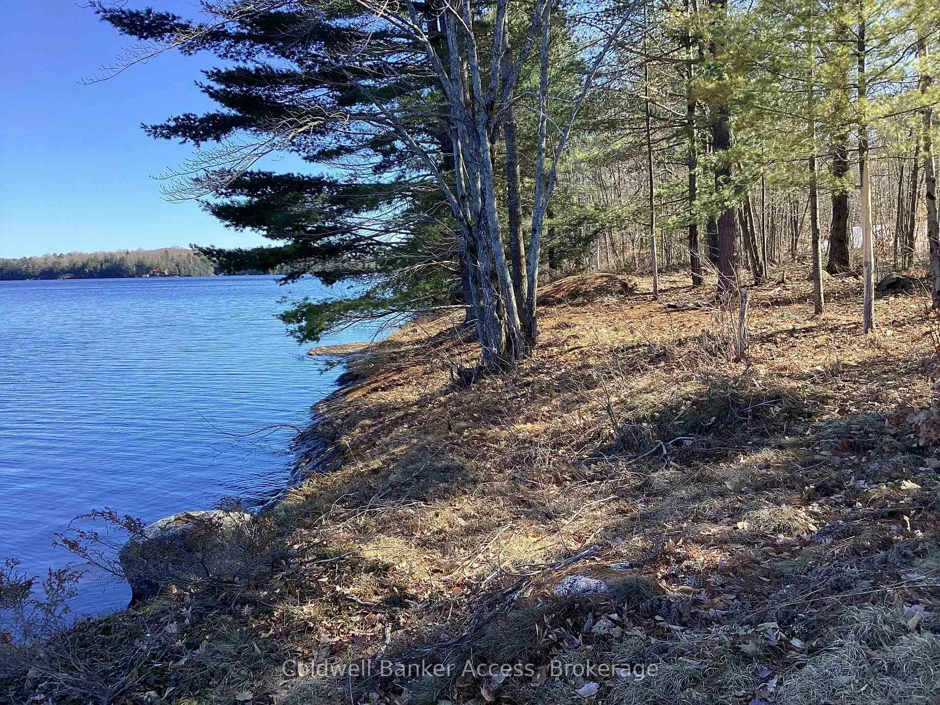 Photo 11 of 38 Hawkins Point Road, Georgian Bay, Freeman — HOMEH