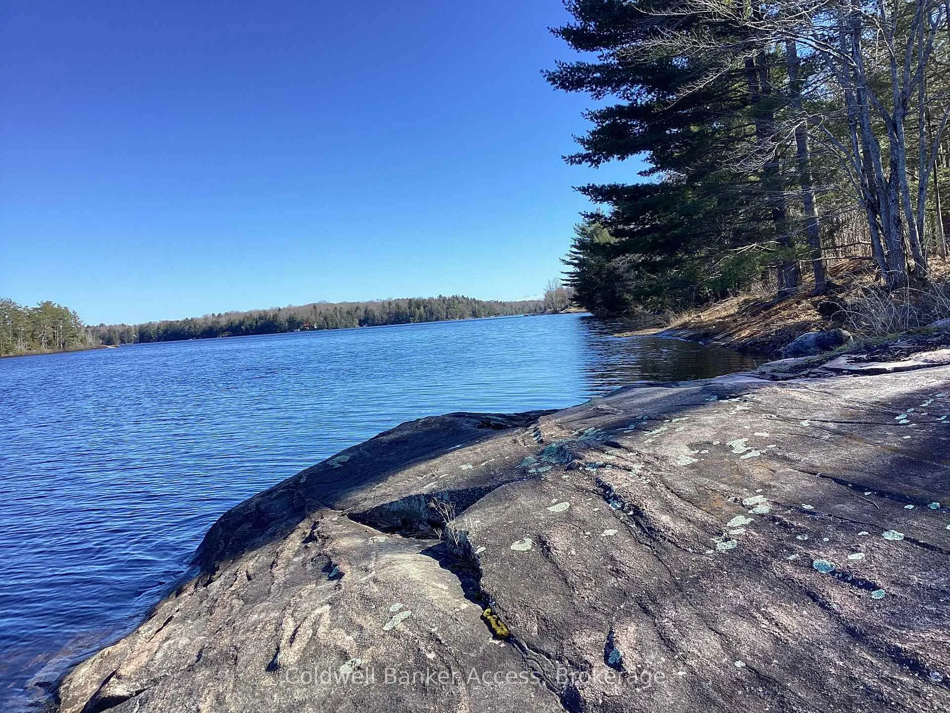 Photo 12 of 38 Hawkins Point Road, Georgian Bay, Freeman — HOMEH
