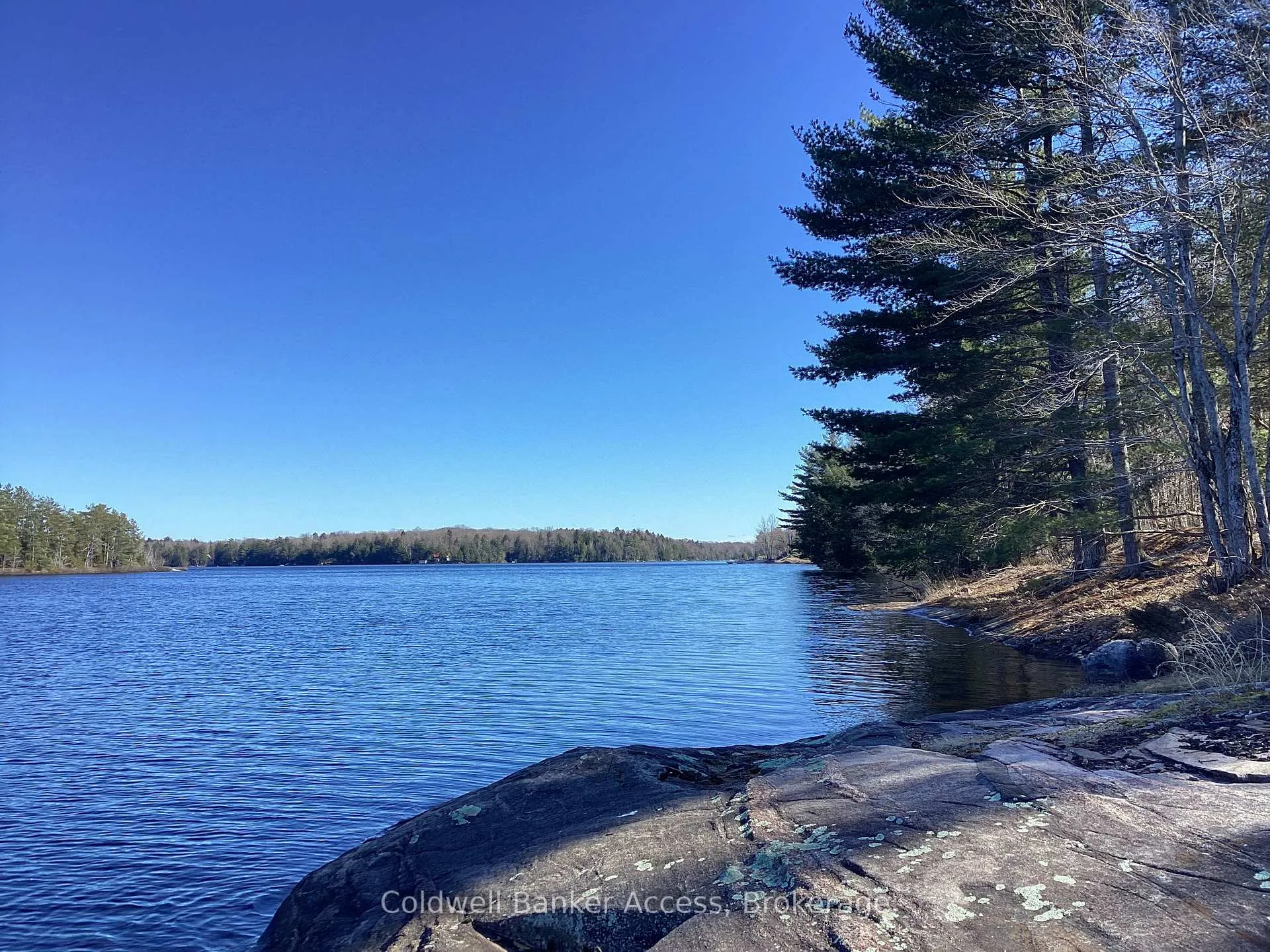 Photo 13 of 38 Hawkins Point Road, Georgian Bay, Freeman — HOMEH