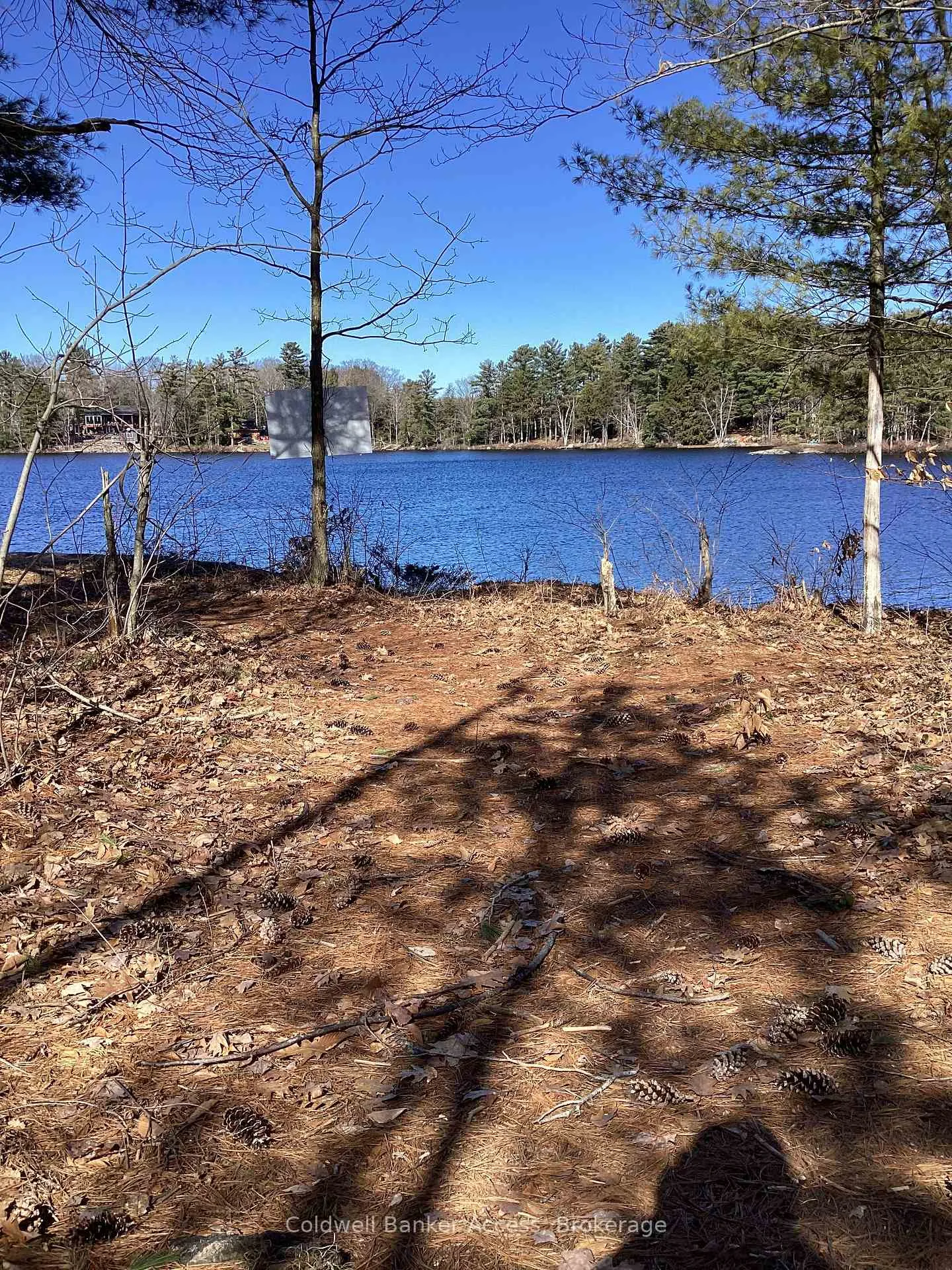 Photo 16 of 38 Hawkins Point Road, Georgian Bay, Freeman — HOMEH