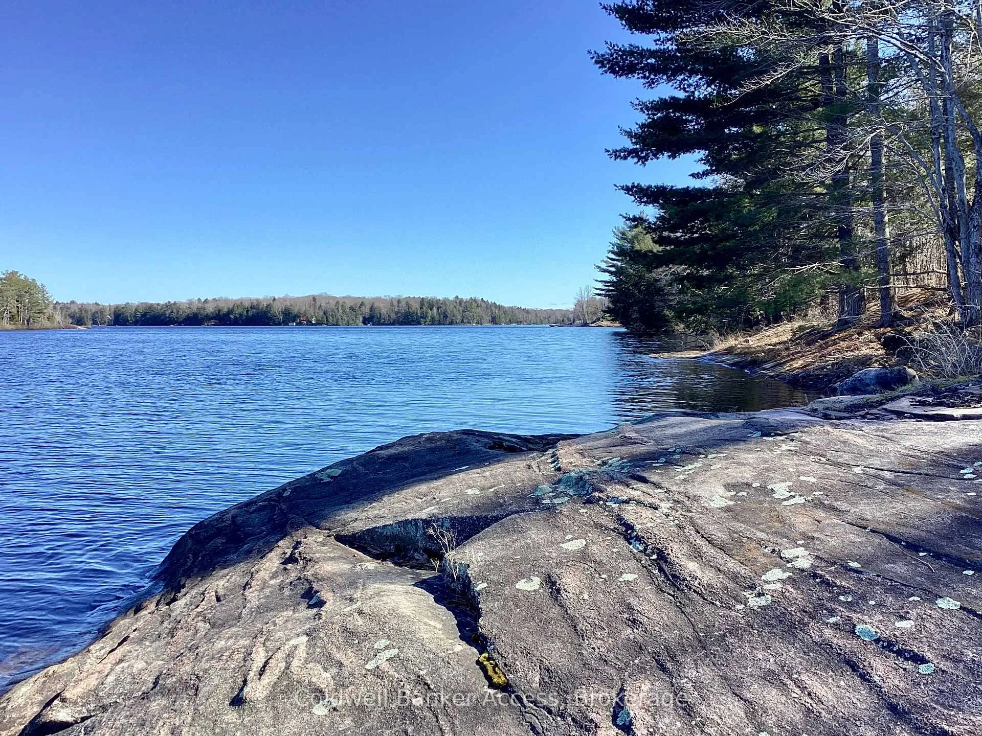 Photo 17 of 38 Hawkins Point Road, Georgian Bay, Freeman — HOMEH