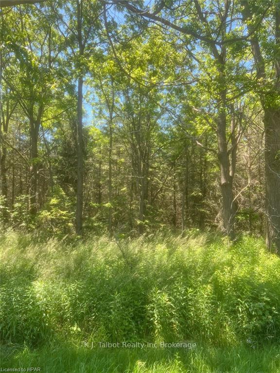 Front of PT4 Grist Mill Line