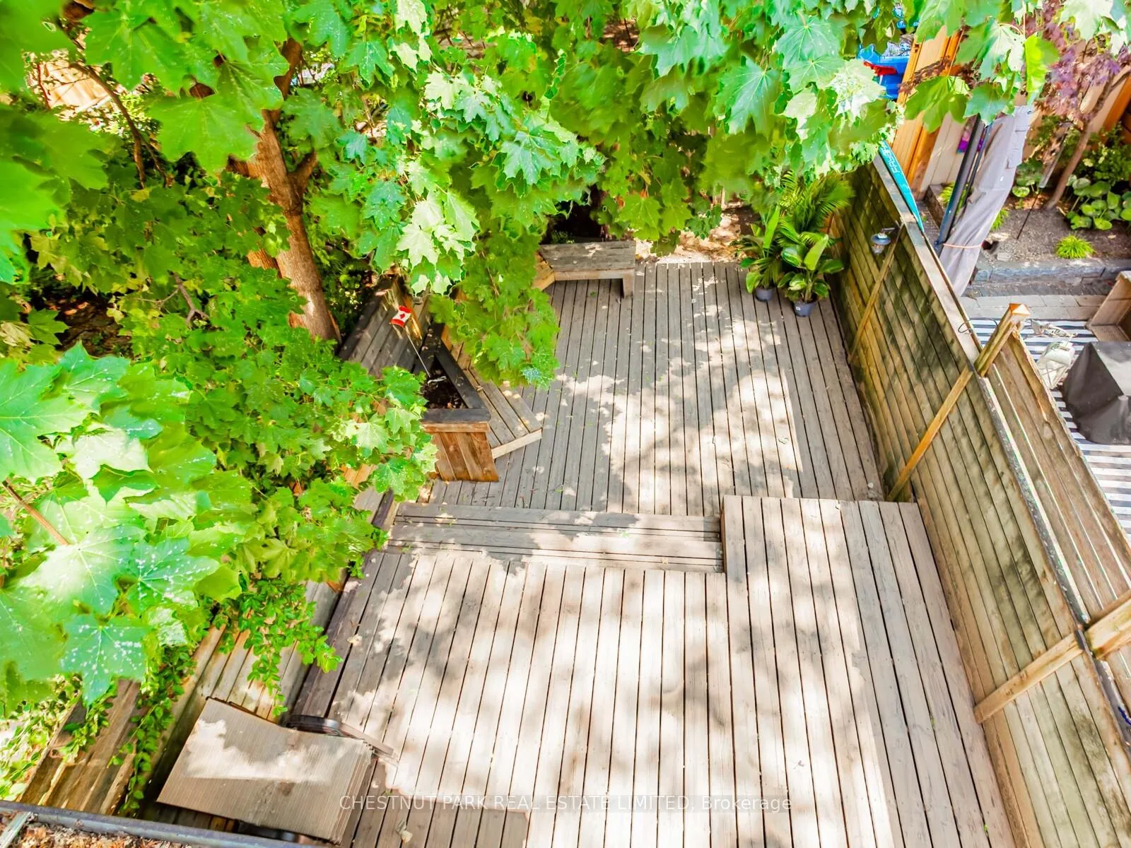 Photo 16 of 71 Winnifred Avenue, Toronto, South Riverdale — HOMEH