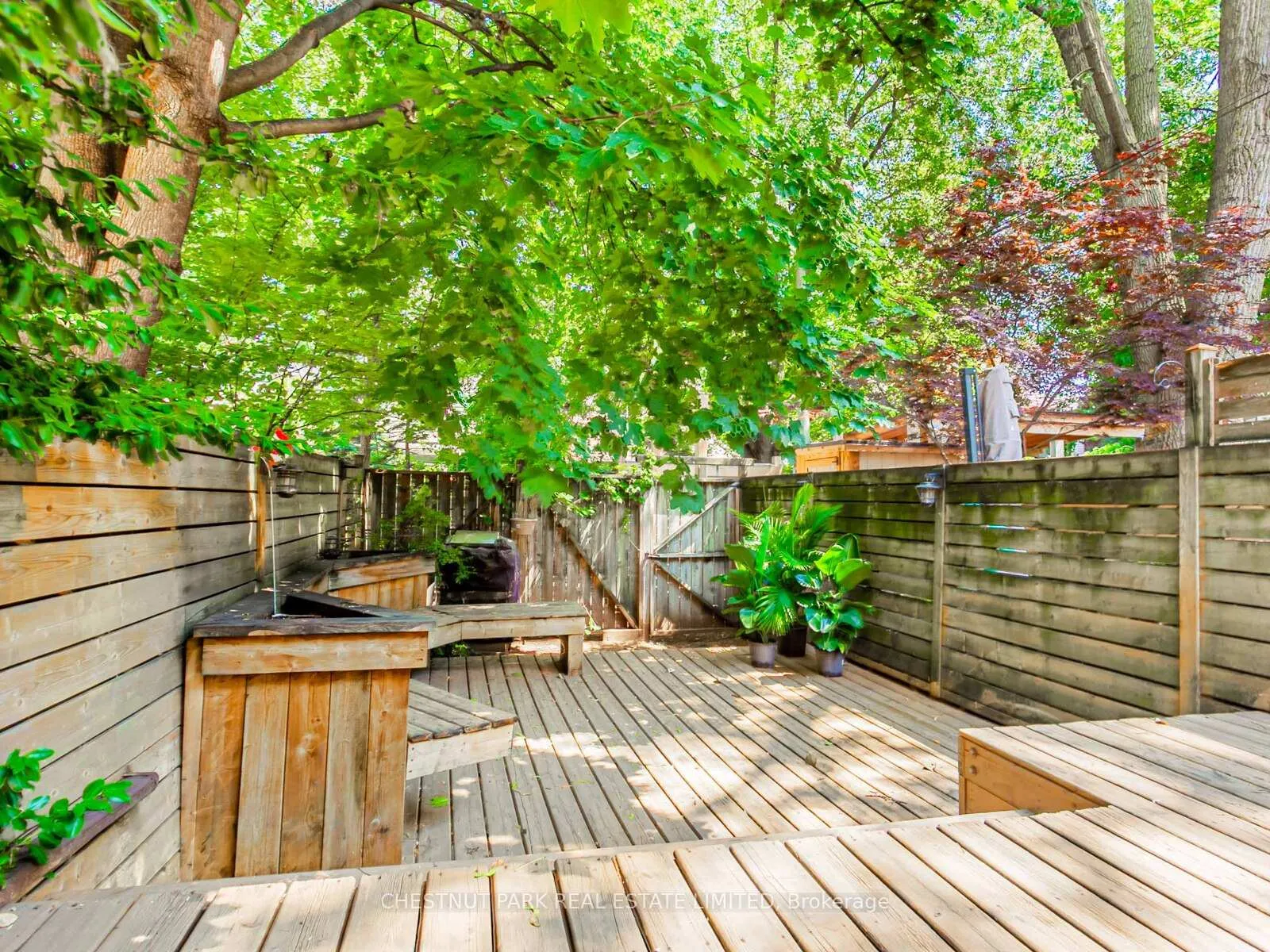 Photo 22 of 71 Winnifred Avenue, Toronto, South Riverdale — HOMEH