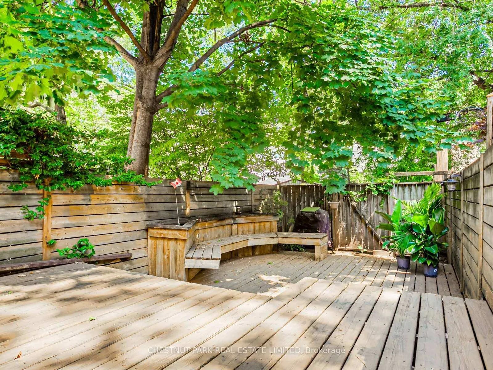 Photo 23 of 71 Winnifred Avenue, Toronto, South Riverdale — HOMEH