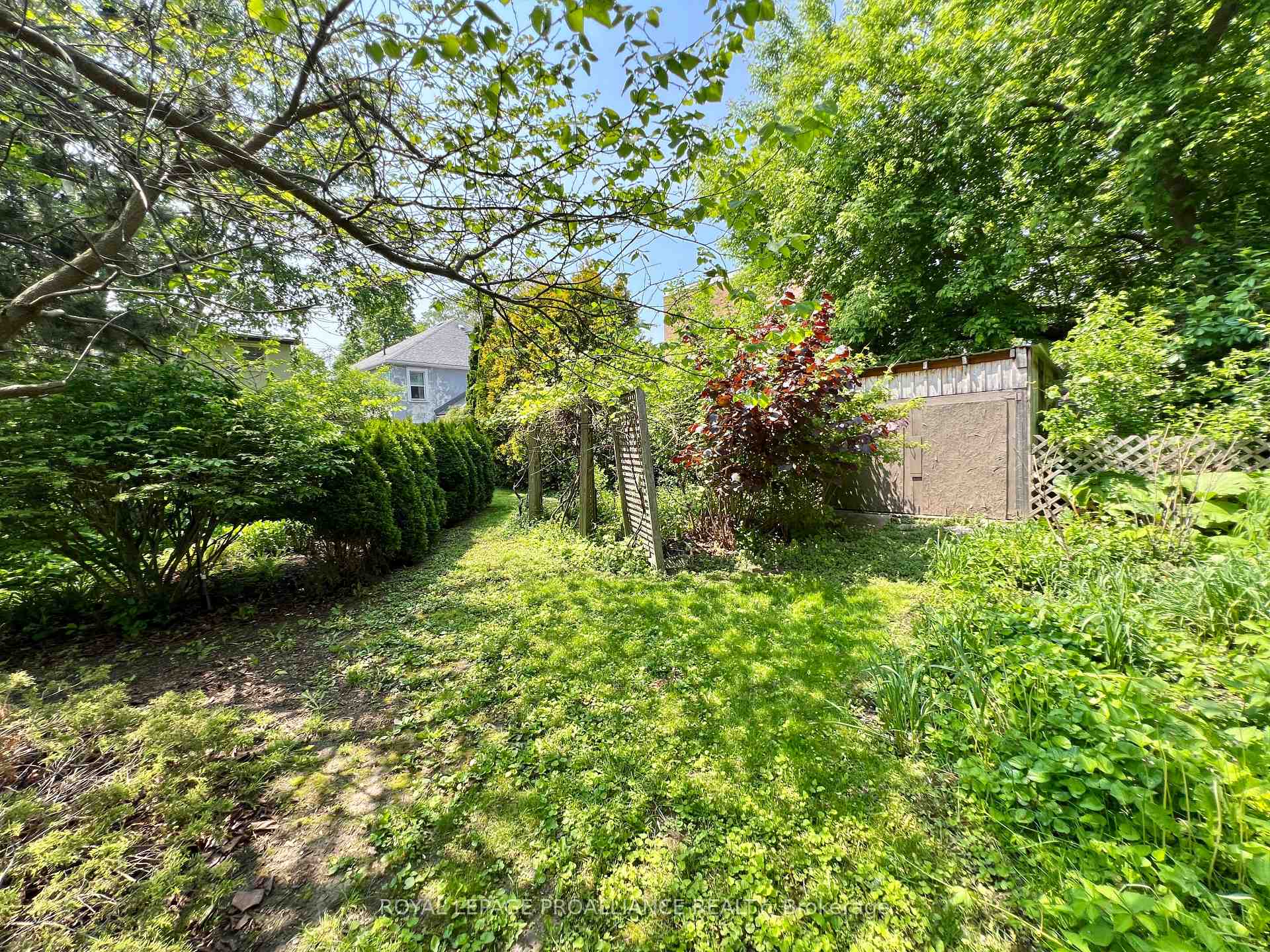 Photo 18 of 243 George Street, Belleville, Belleville Ward — HOMEH