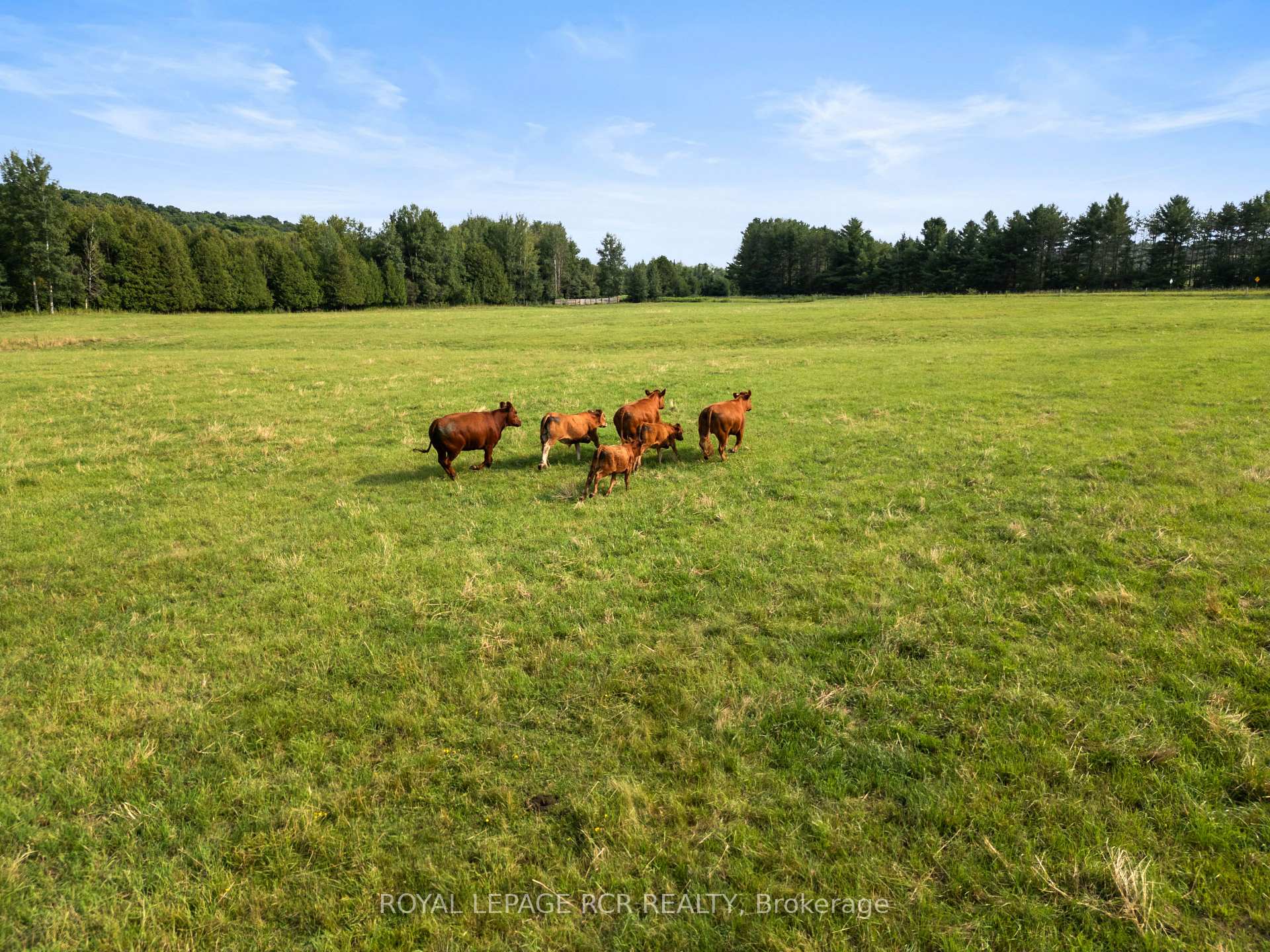 Photo 1 of PT LT27 Con 9, Erin, Rural Erin — HOMEH
