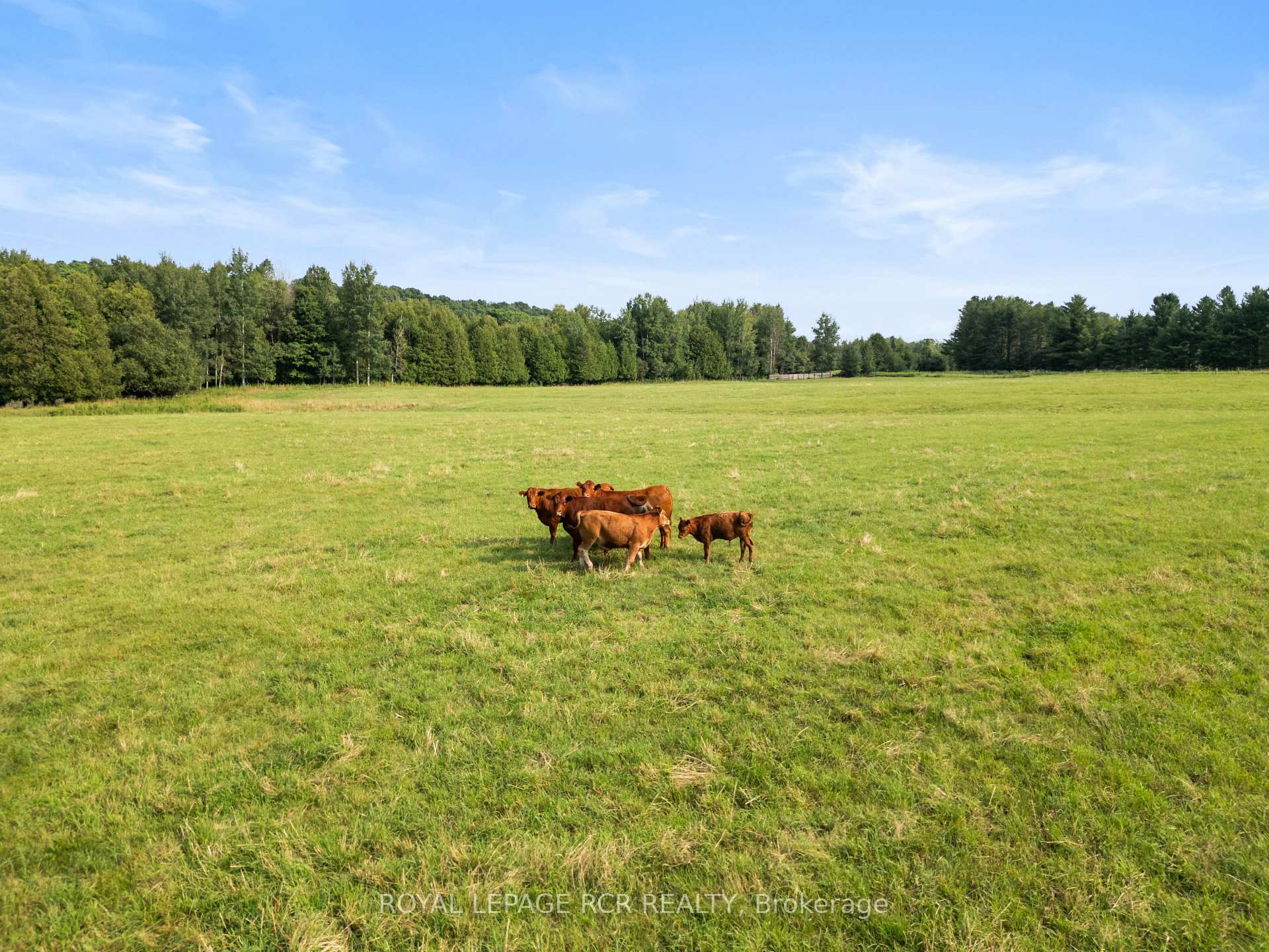 Photo 4 of PT LT27 Con 9, Erin, Rural Erin — HOMEH