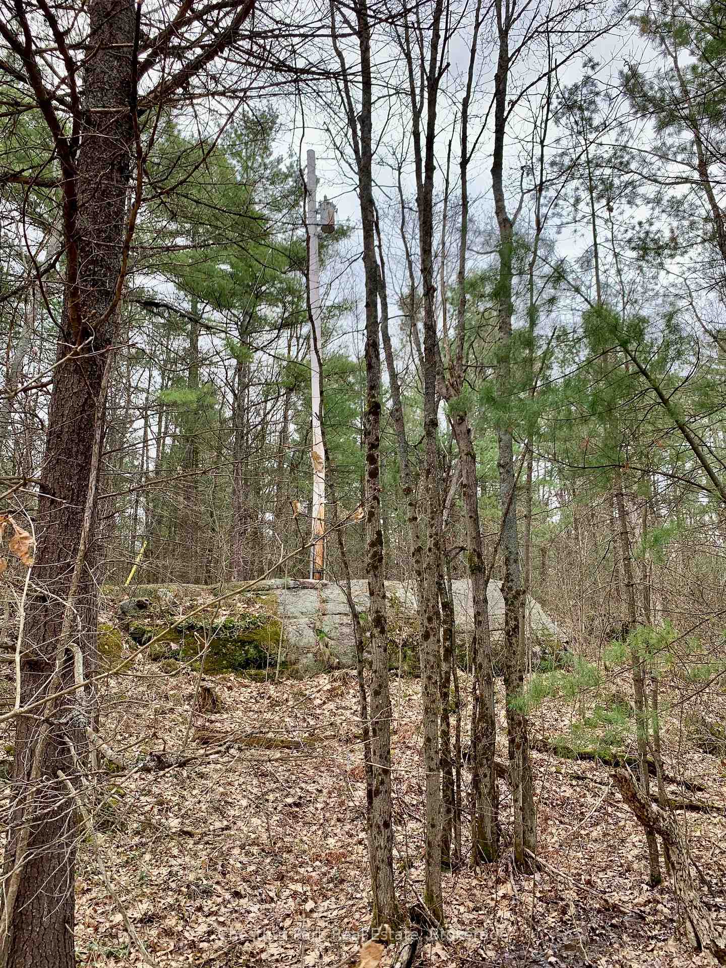 Photo 10 of Lot 53 & 54 Kahshe, Gravenhurst, Morrison — HOMEH