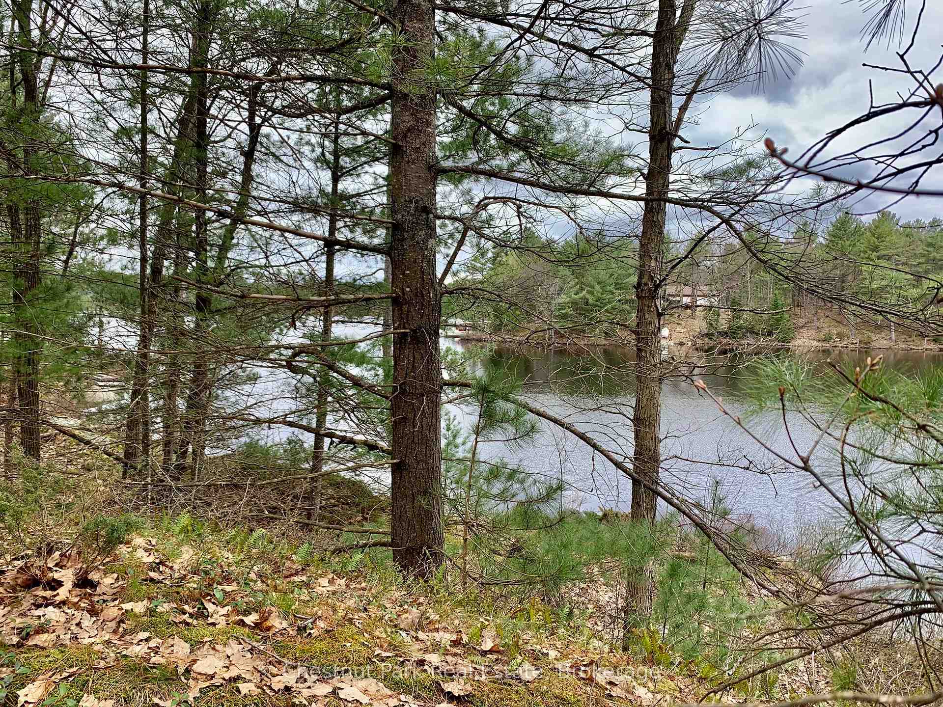 Photo 11 of Lot 53 & 54 Kahshe, Gravenhurst, Morrison — HOMEH