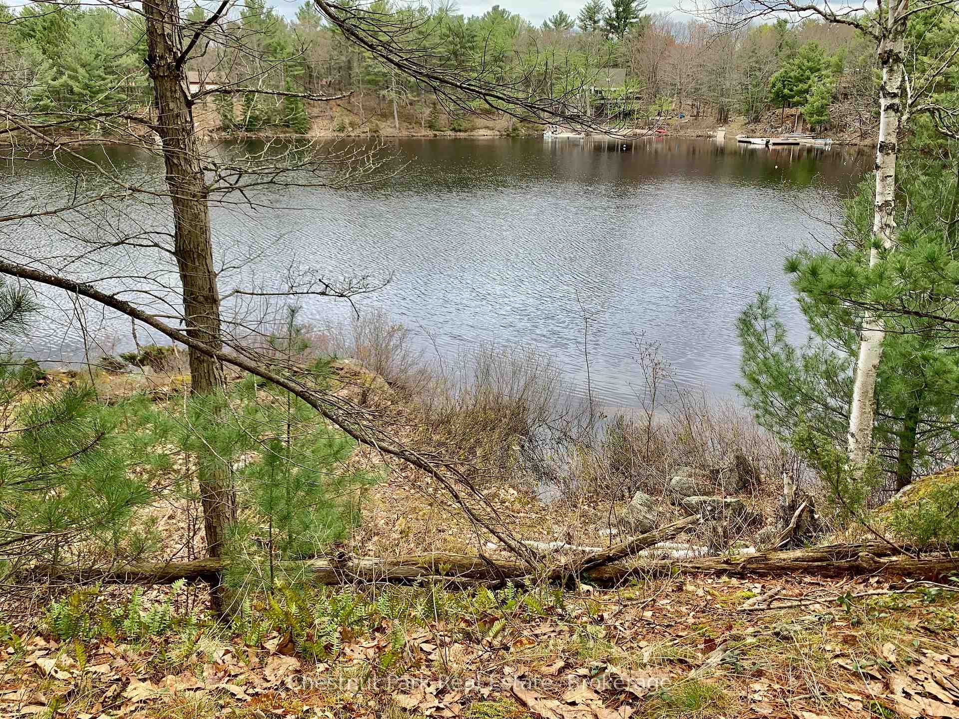 Photo 13 of Lot 53 & 54 Kahshe, Gravenhurst, Morrison — HOMEH
