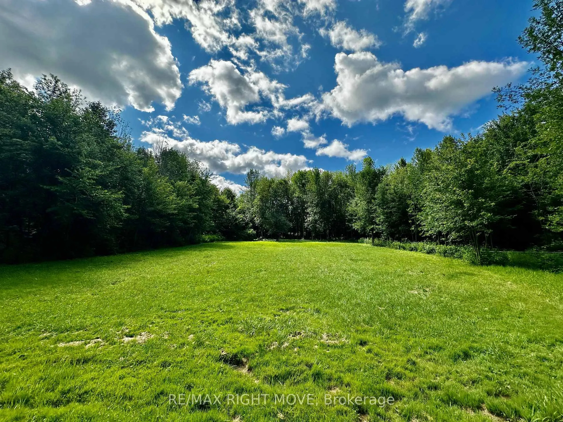 Photo 8 of 6091 Sheba Drive, Ramara, Rural Ramara — HOMEH