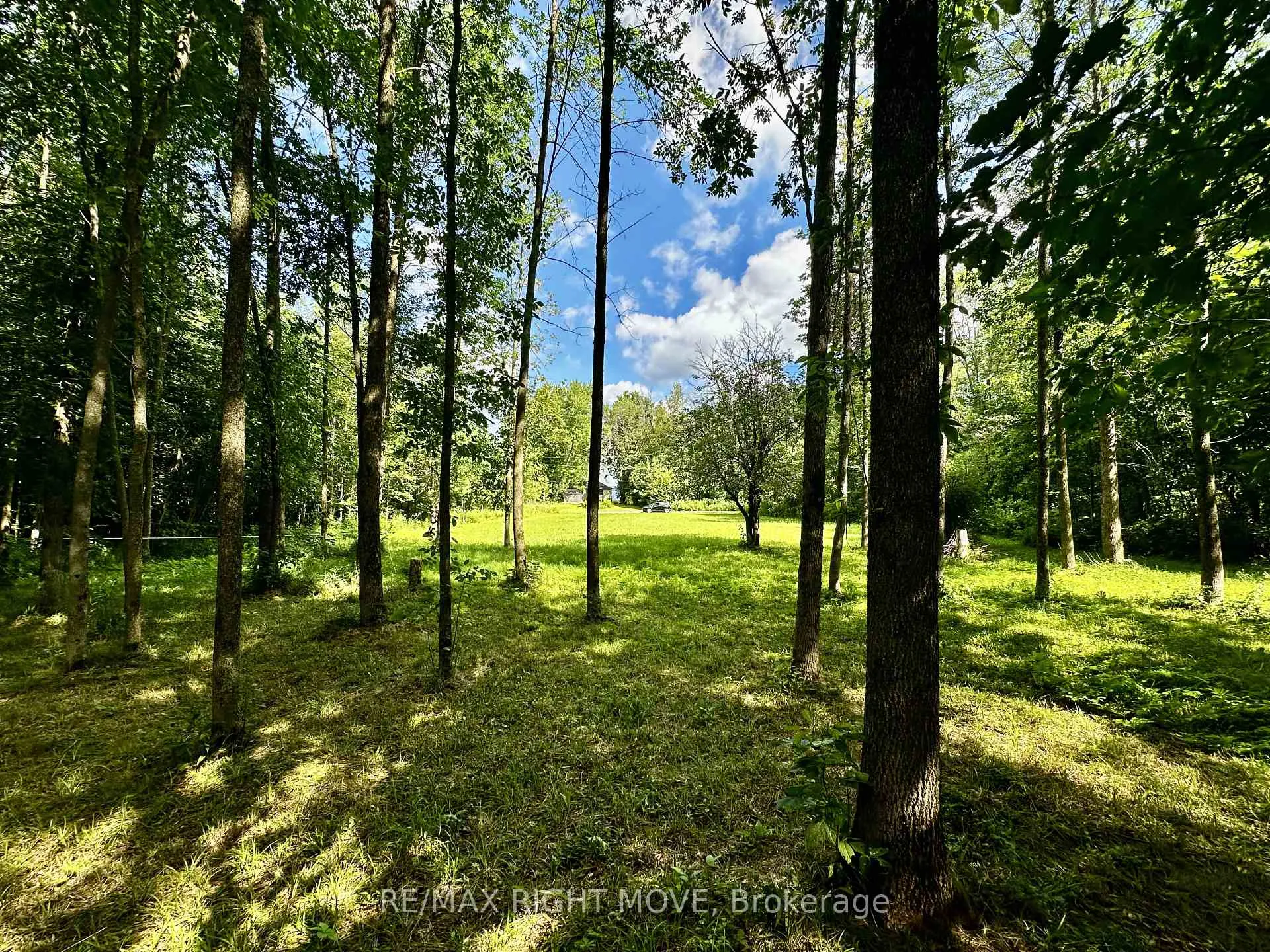 Photo 9 of 6091 Sheba Drive, Ramara, Rural Ramara — HOMEH