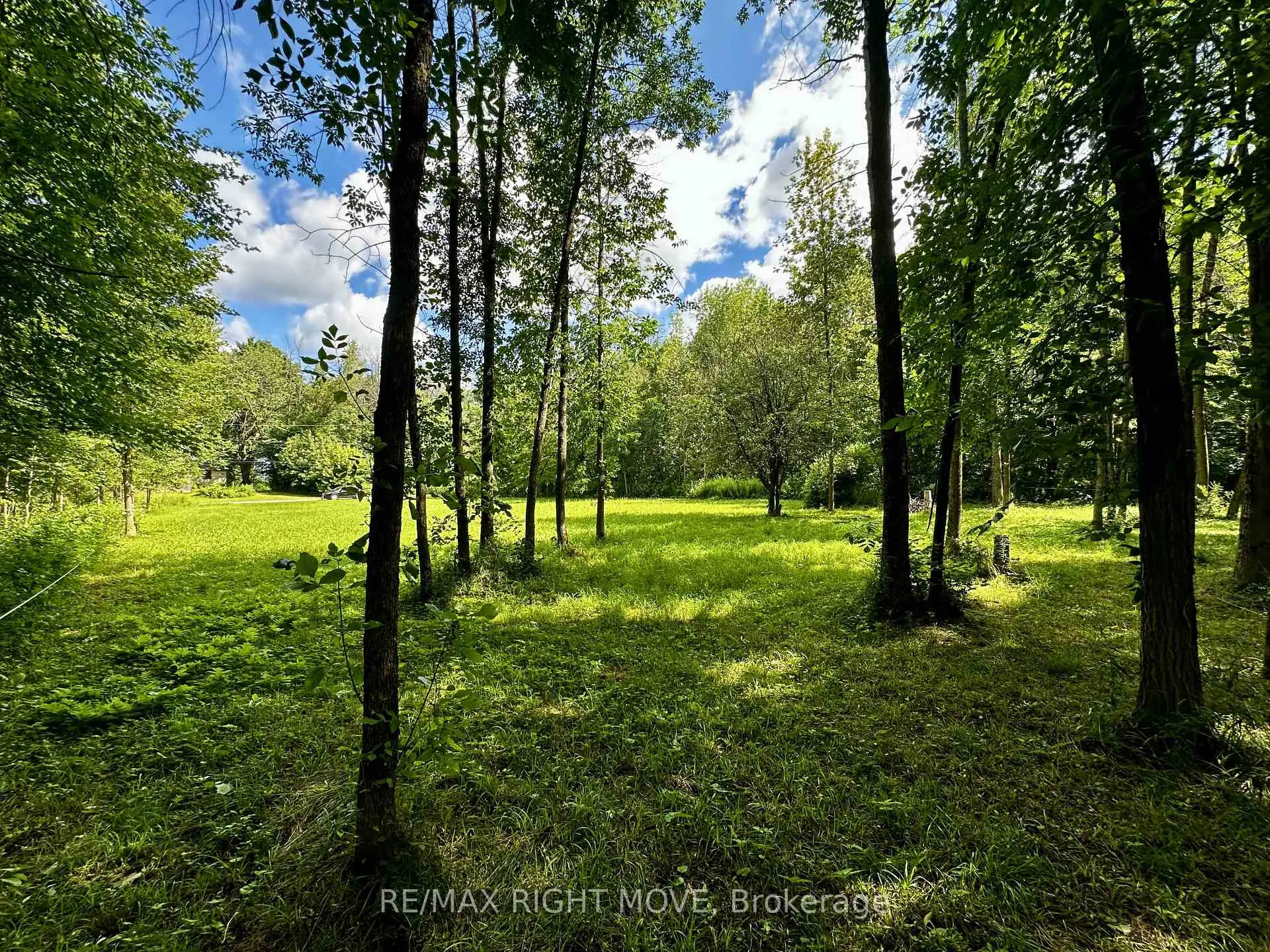 Photo 12 of 6091 Sheba Drive, Ramara, Rural Ramara — HOMEH