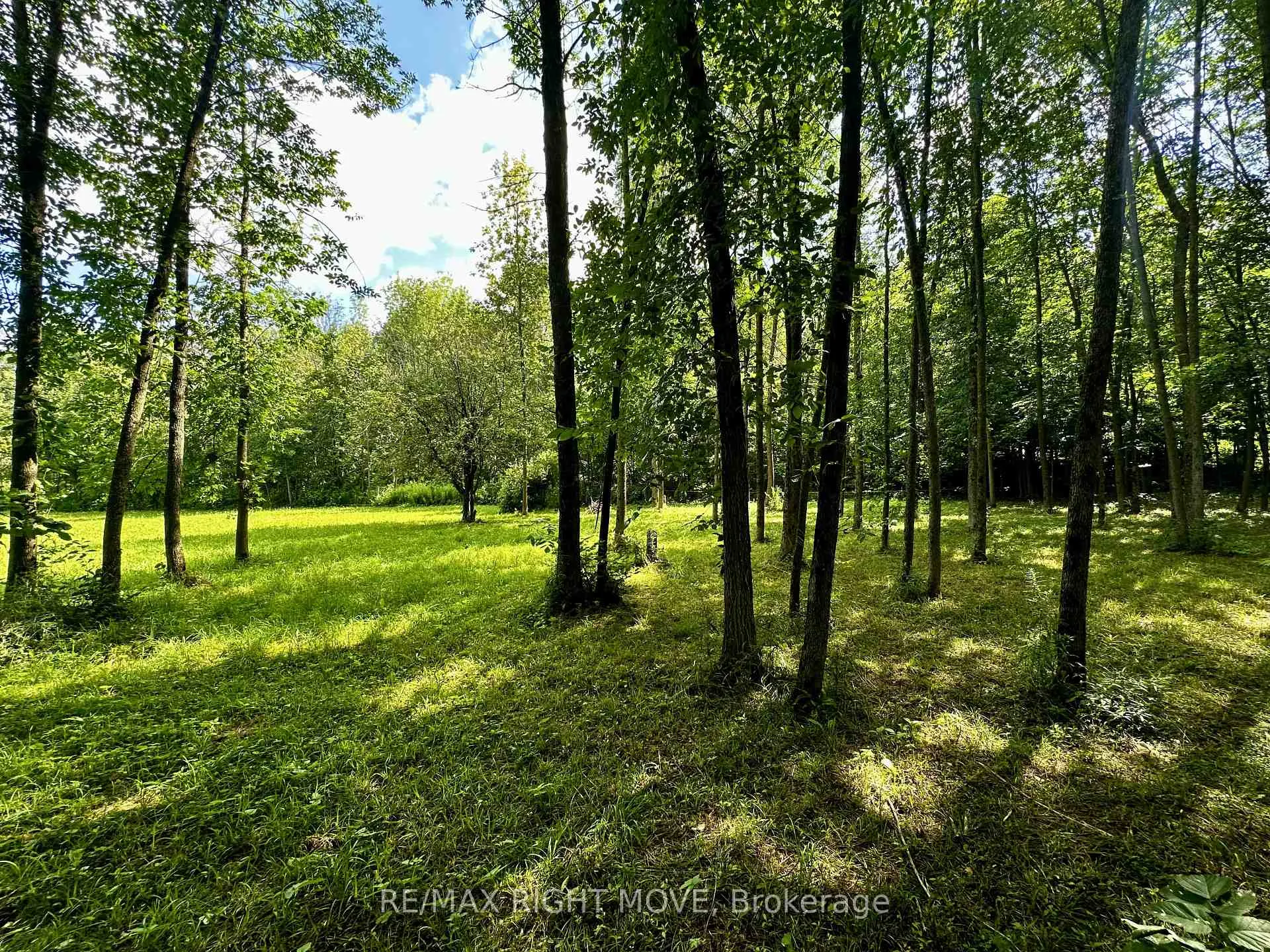 Photo 13 of 6091 Sheba Drive, Ramara, Rural Ramara — HOMEH