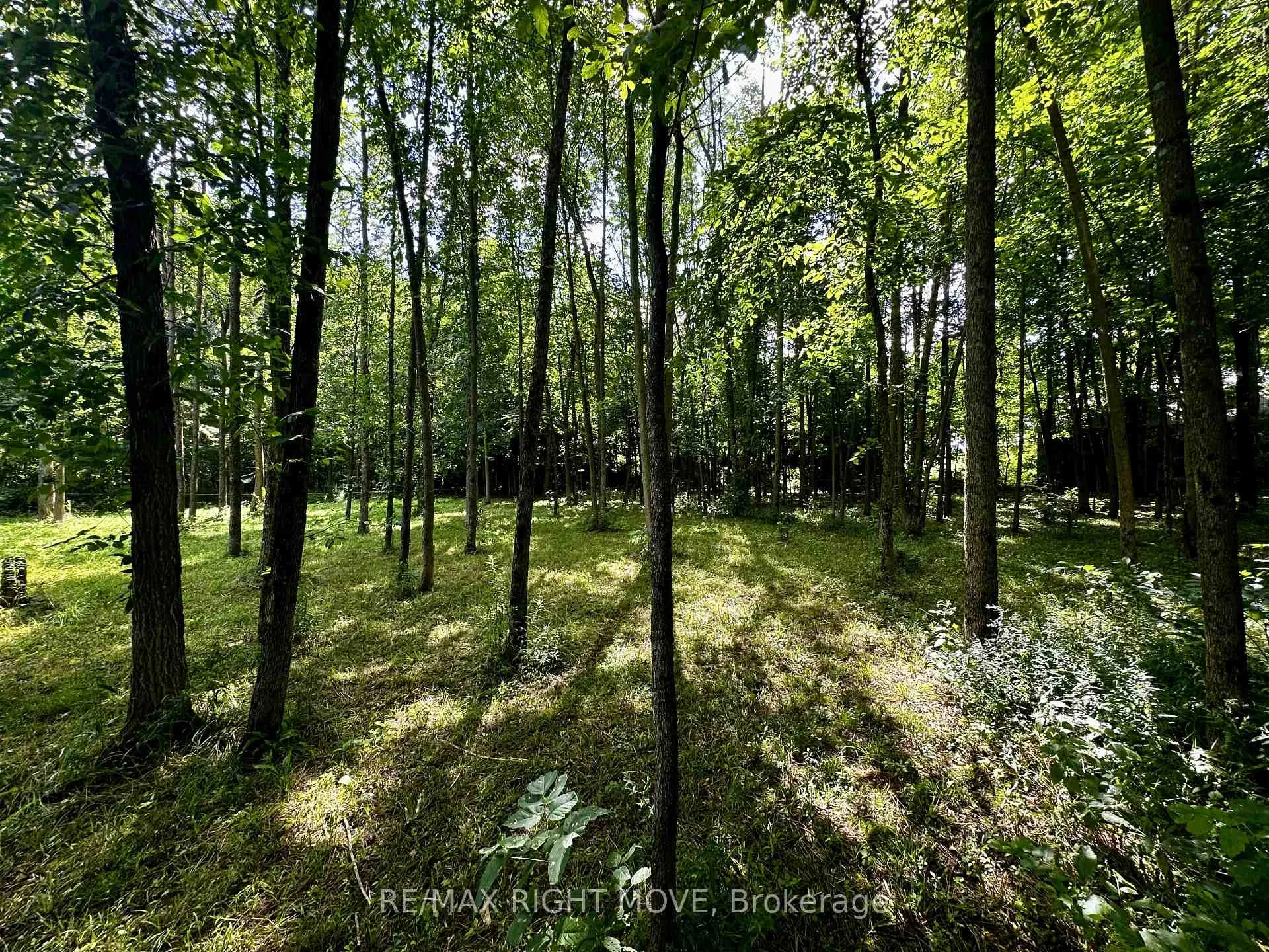 Photo 14 of 6091 Sheba Drive, Ramara, Rural Ramara — HOMEH