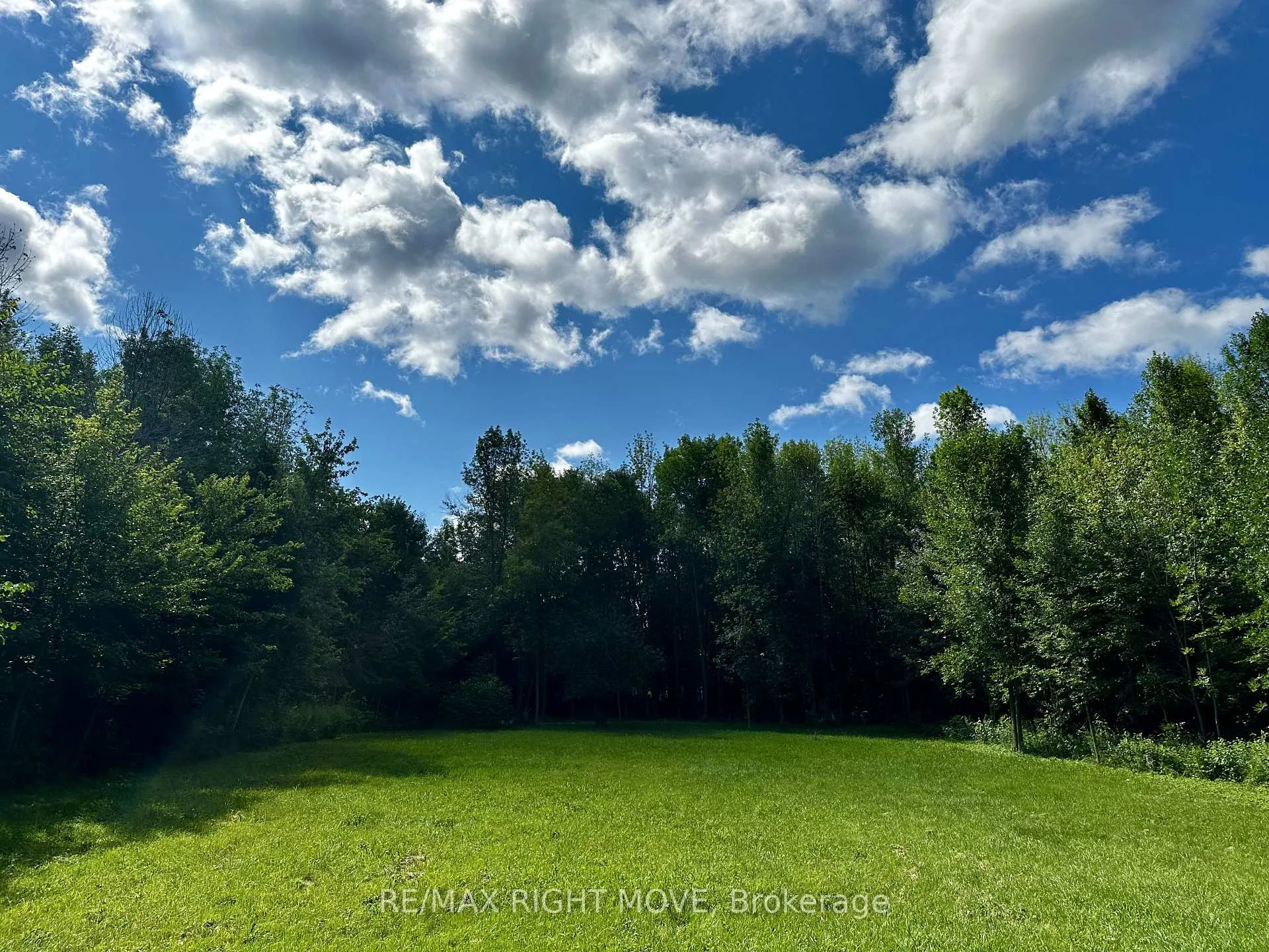 Photo 15 of 6091 Sheba Drive, Ramara, Rural Ramara — HOMEH