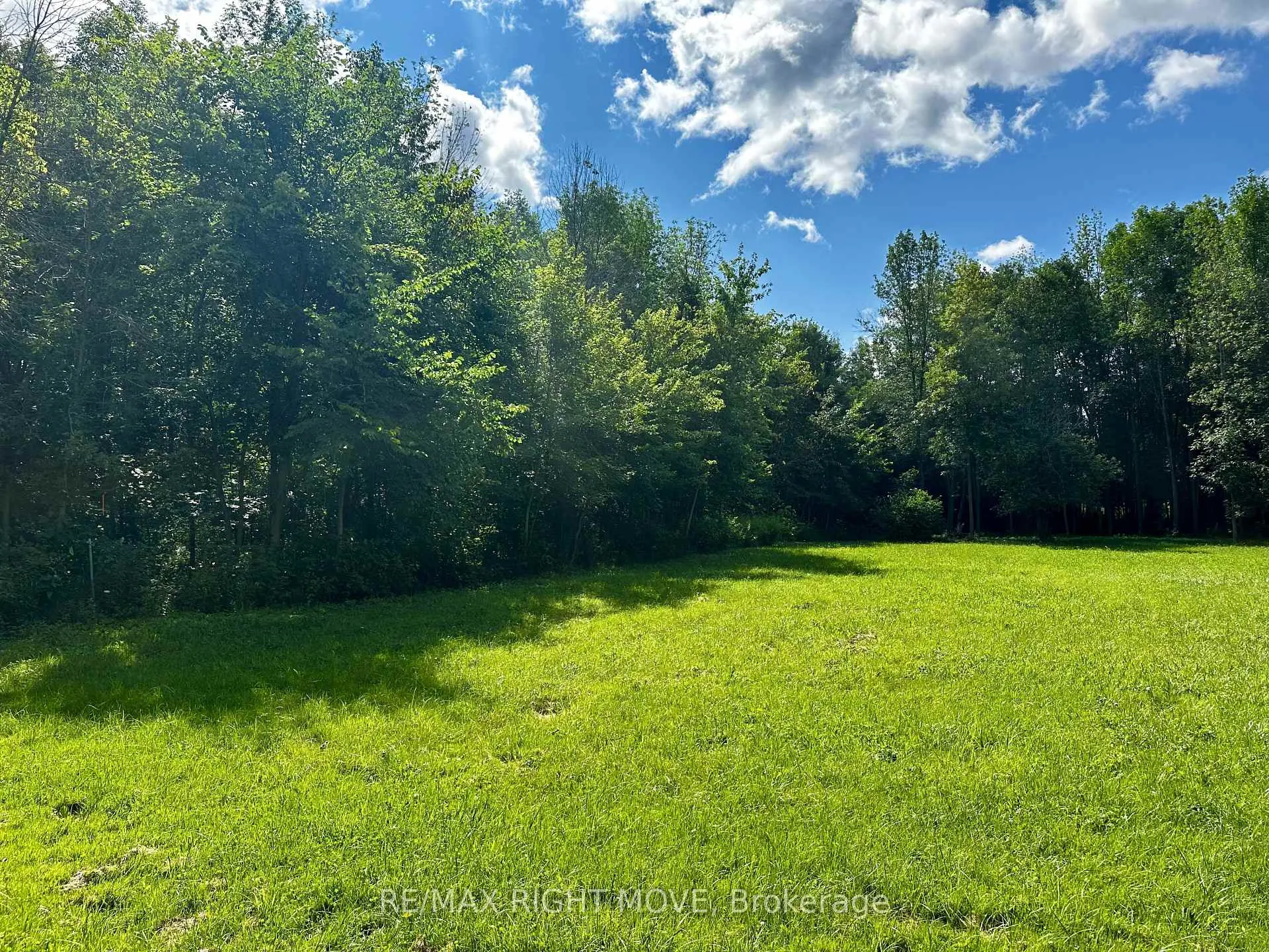Photo 16 of 6091 Sheba Drive, Ramara, Rural Ramara — HOMEH
