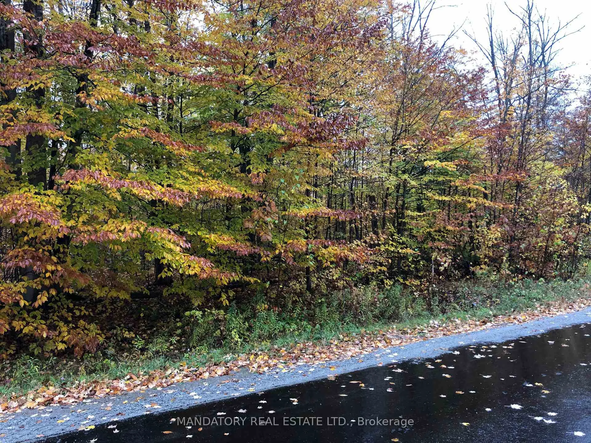 Photo 2 of 28 Meadows Avenue, Tay, Rural Tay — HOMEH