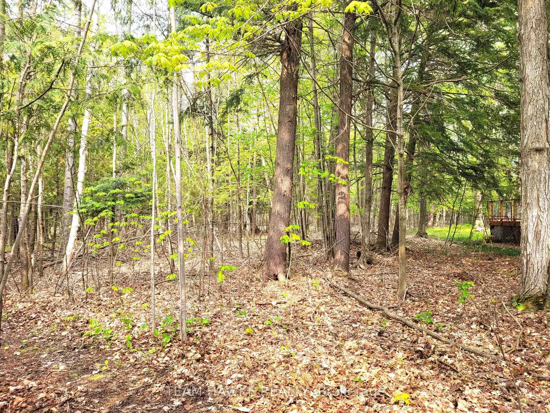 Front of LOT 504 Seneca Crescent