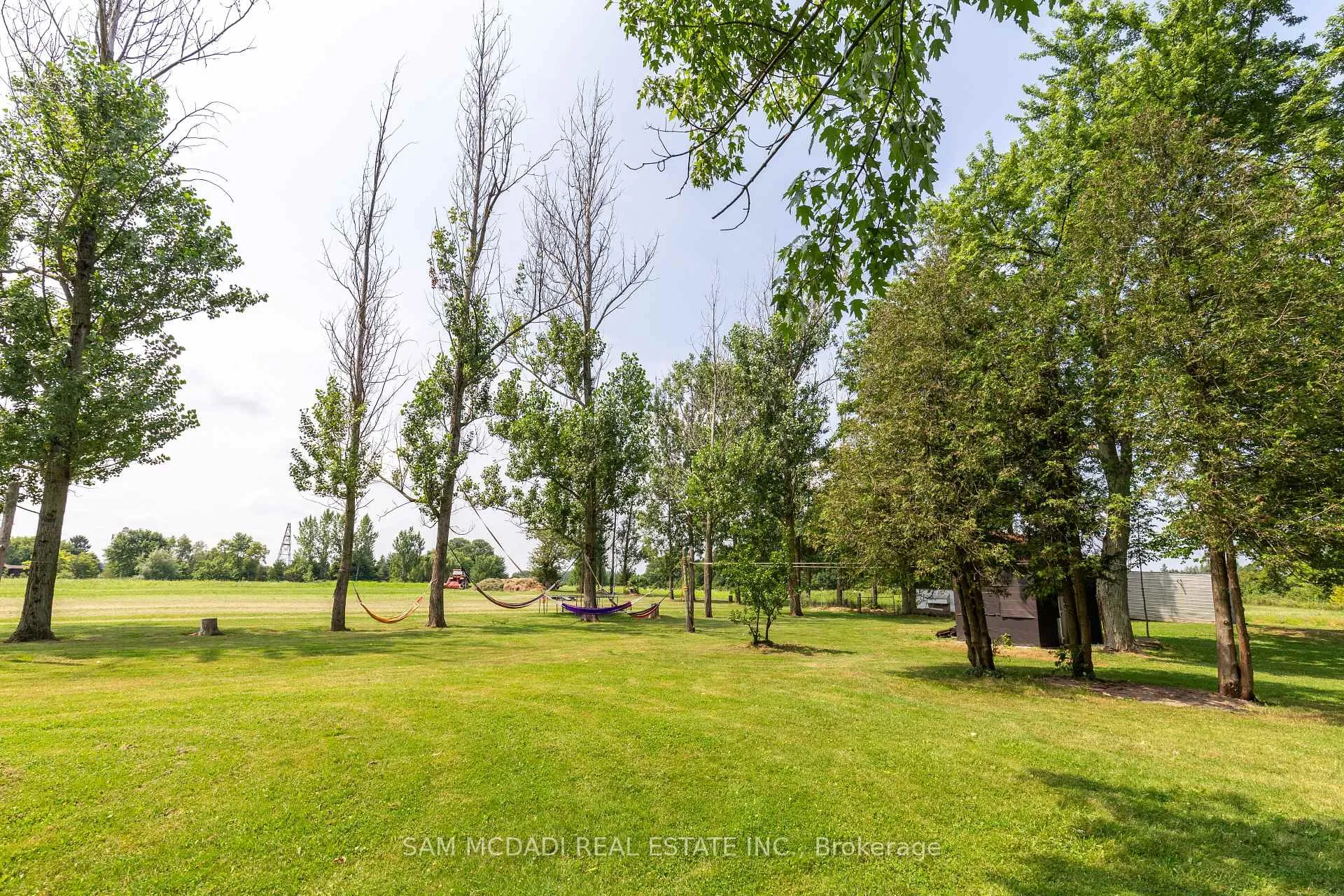 Photo 5 of 53 Guyatt Road, Hamilton, Rural Glanbrook — HOMEH