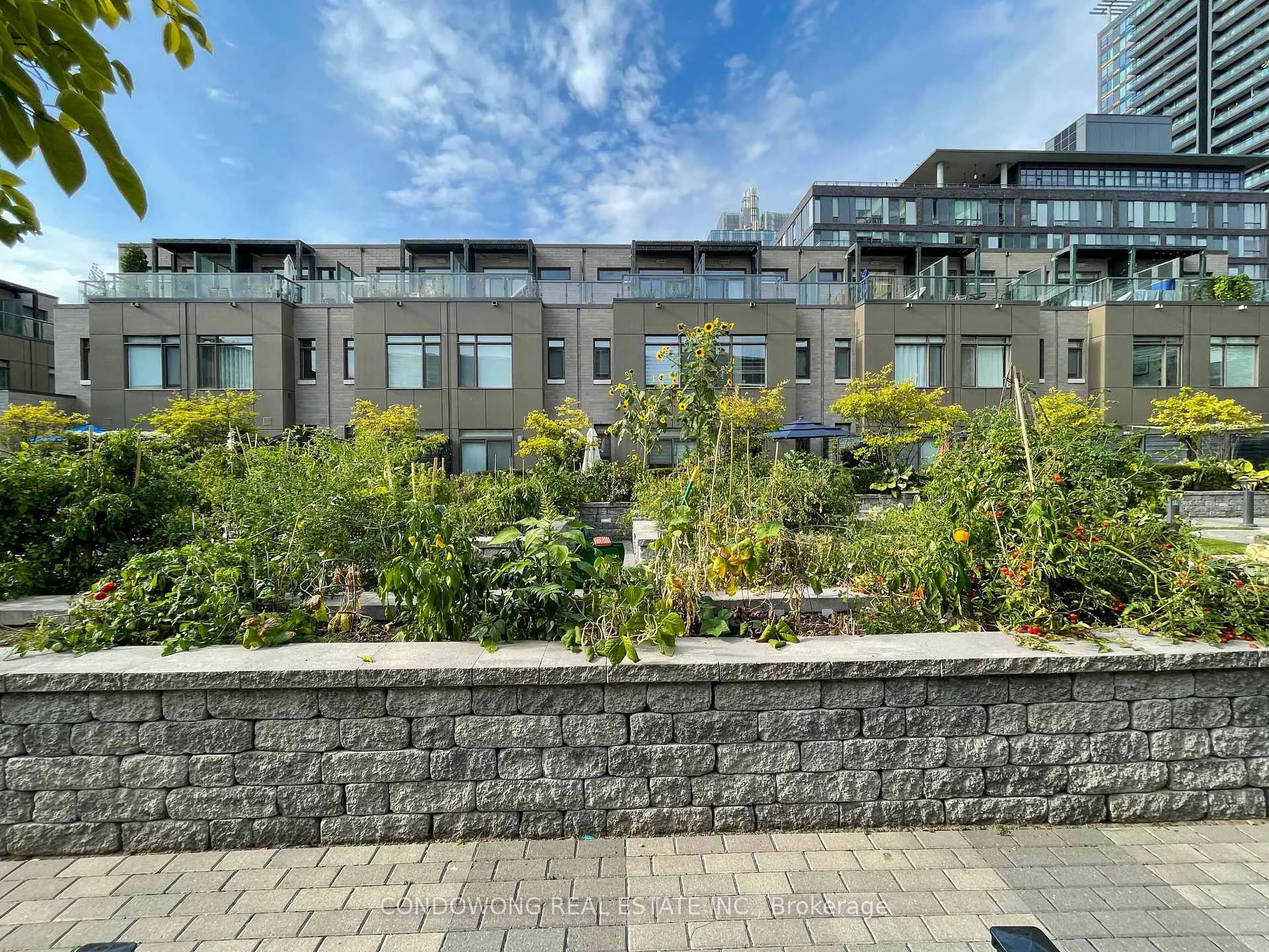 Photo 19 of 54 St David Street, Toronto, Regent Park — HOMEH
