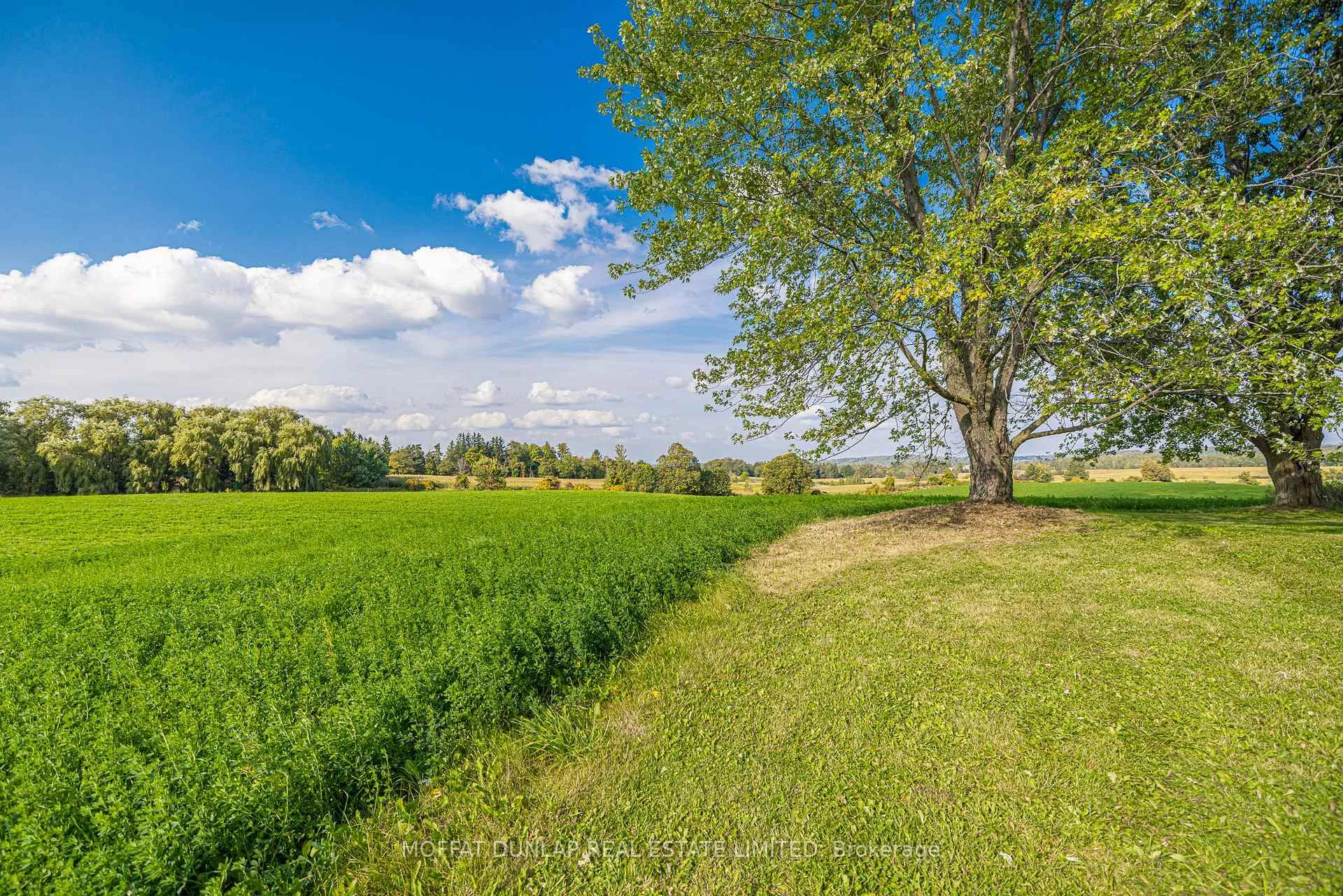 Photo 32 of 15625 8th Concession, King, Rural King — HOMEH