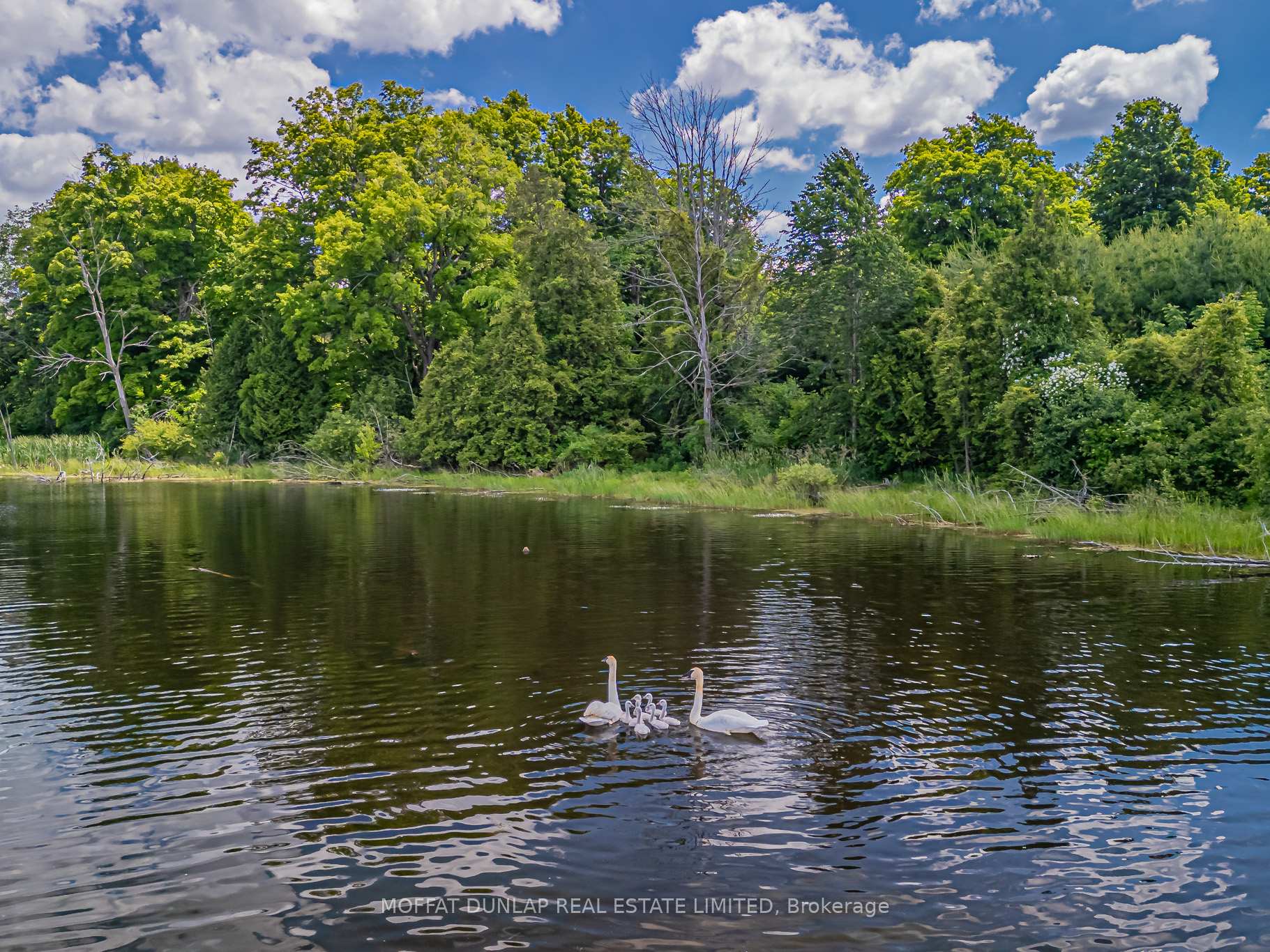Photo 26 of 17350 Innis Lake Road, Caledon, Rural Caledon — HOMEH