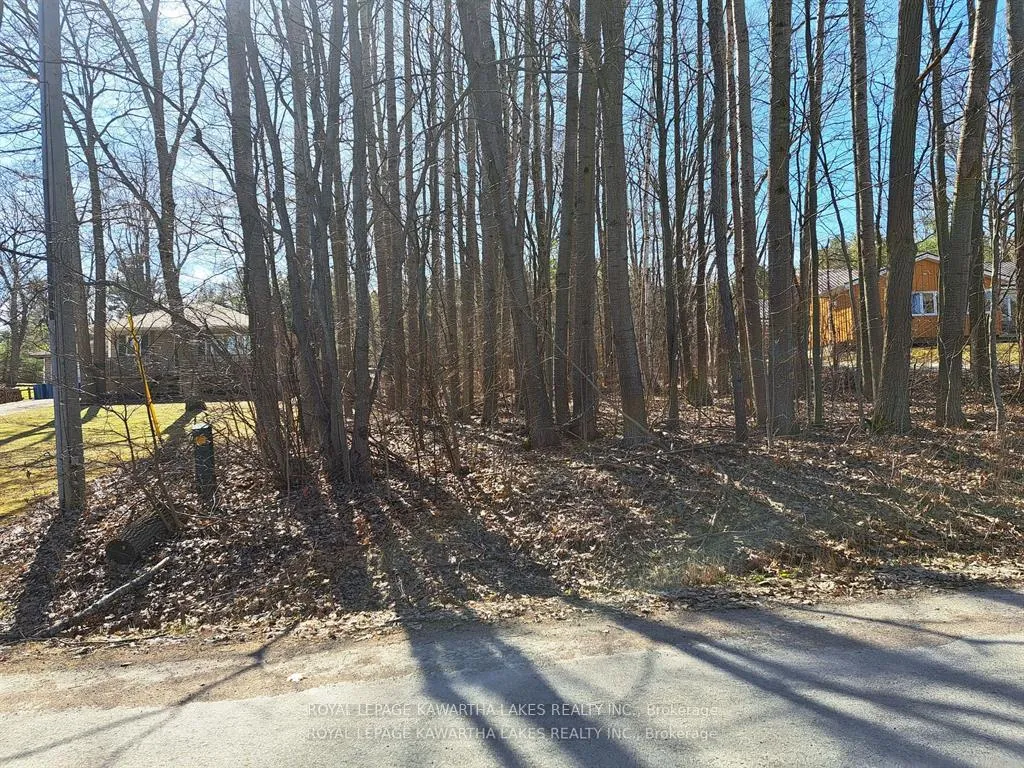 Front of 0 Poplar Drive