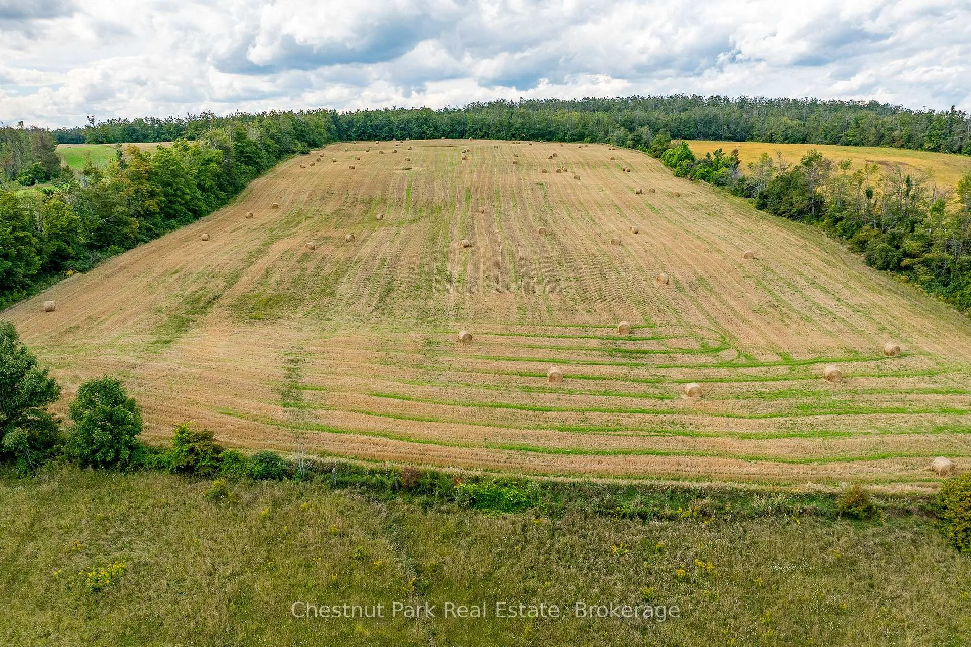 Photo 46 of 2826 Concession 8 S Nottawasaga, Clearview, Rural Clearview — HOMEH