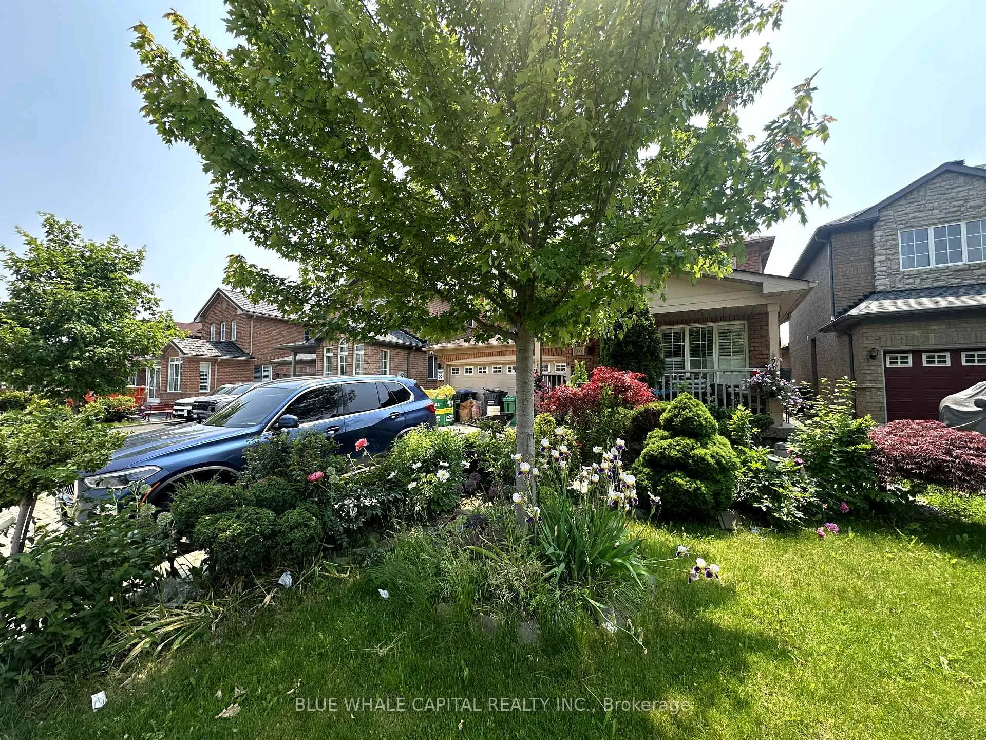 Front of Unit Basement, 20 Hollowgrove Boulevard