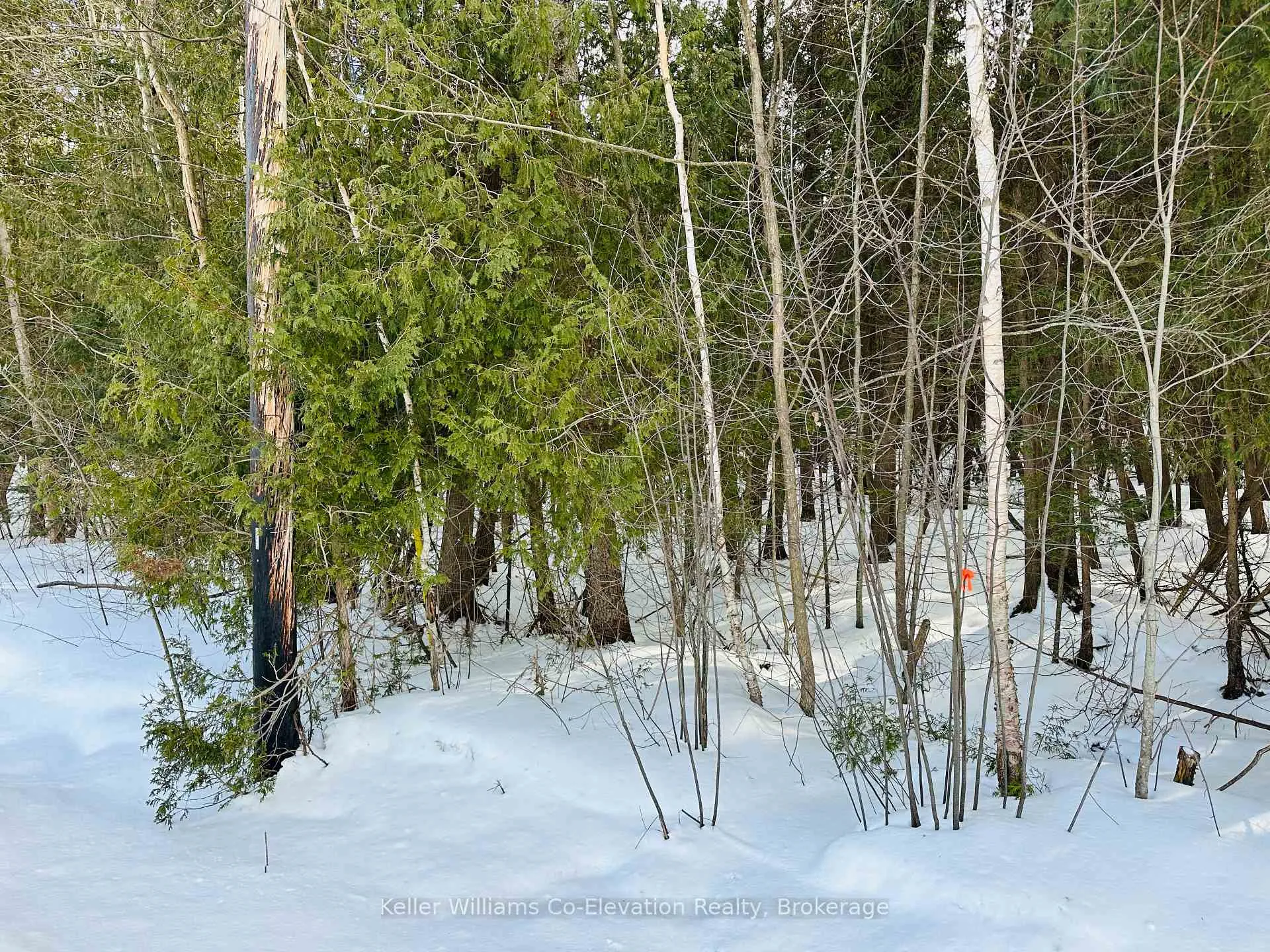 Photo 3 of Lot 438 Champlain Road, Tiny, Rural Tiny — HOMEH