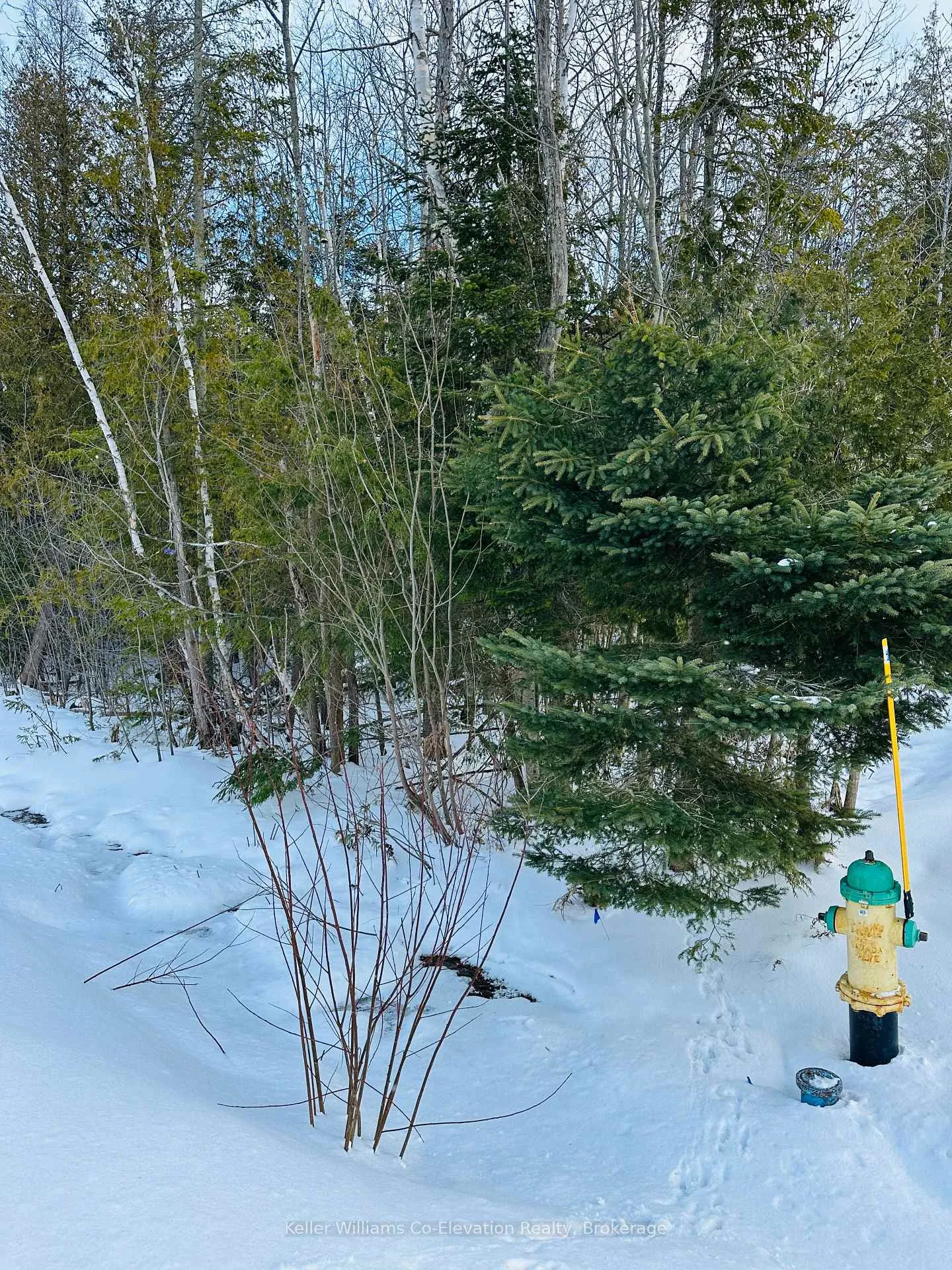 Photo 5 of Lot 438 Champlain Road, Tiny, Rural Tiny — HOMEH