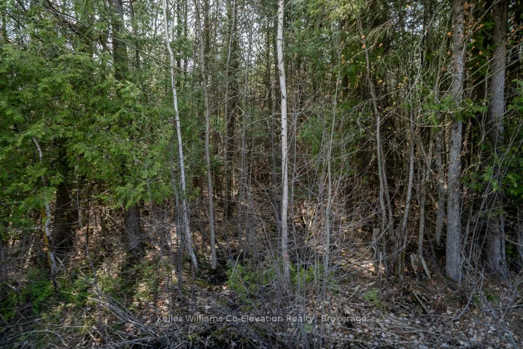 Photo 10 of Lot 438 Champlain Road, Tiny, Rural Tiny — HOMEH