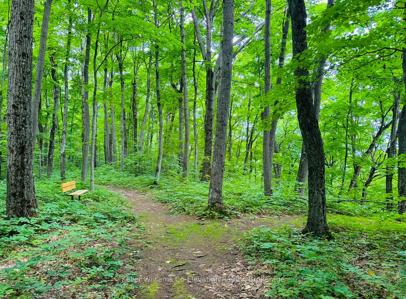 Photo 20 of Lot 438 Champlain Road, Tiny, Rural Tiny — HOMEH