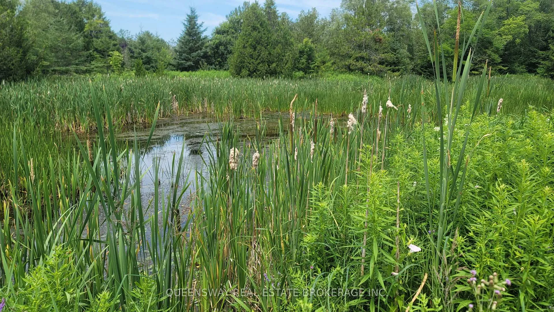 Photo 3 of Block73 Shawano Drive, Alnwick/Haldimand, Rural Alnwick/Haldimand — HOMEH